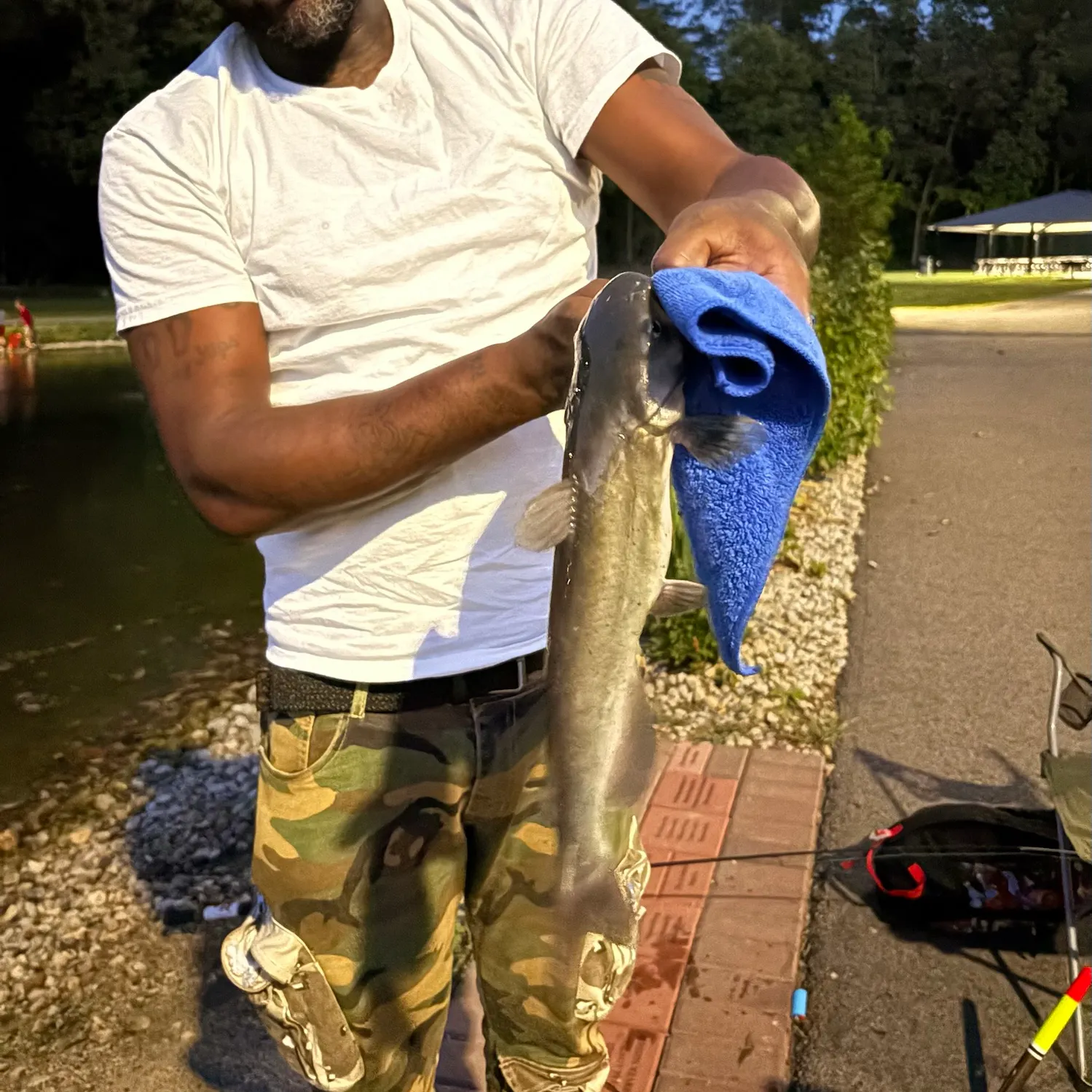 Channel catfish caught on Fishbrain