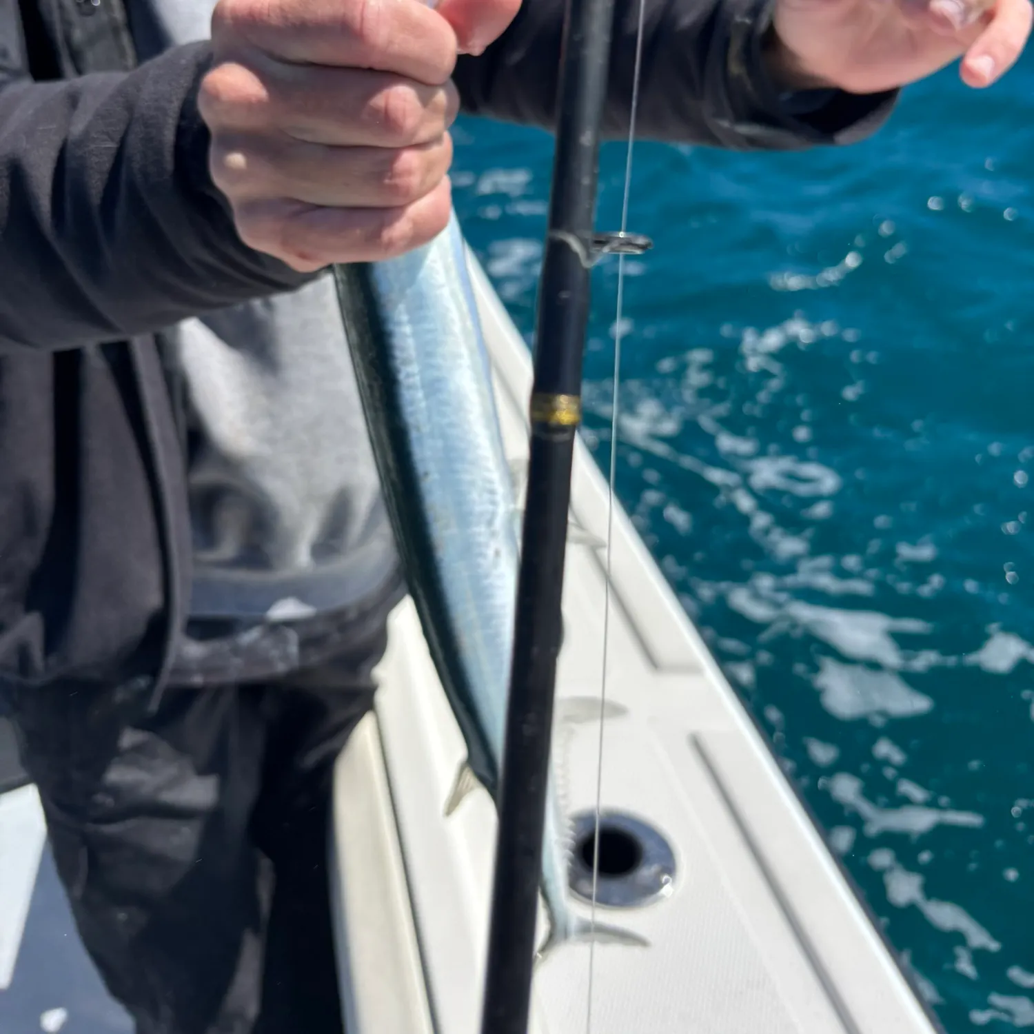 The most recent Hound needlefish catches on Fishbrain