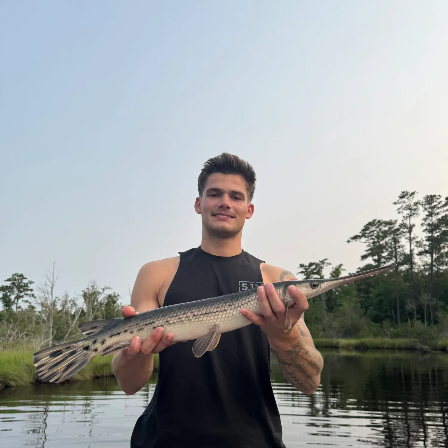 Longnose gar caught on Fishbrain