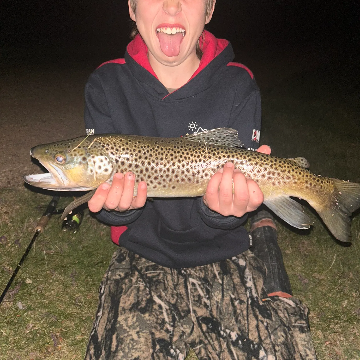 Brown trout caught on Fishbrain