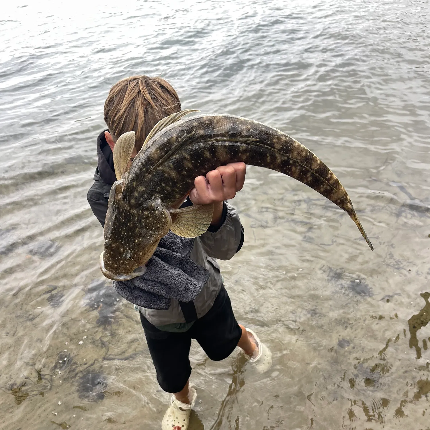 The most recent Dusky flathead catches on Fishbrain