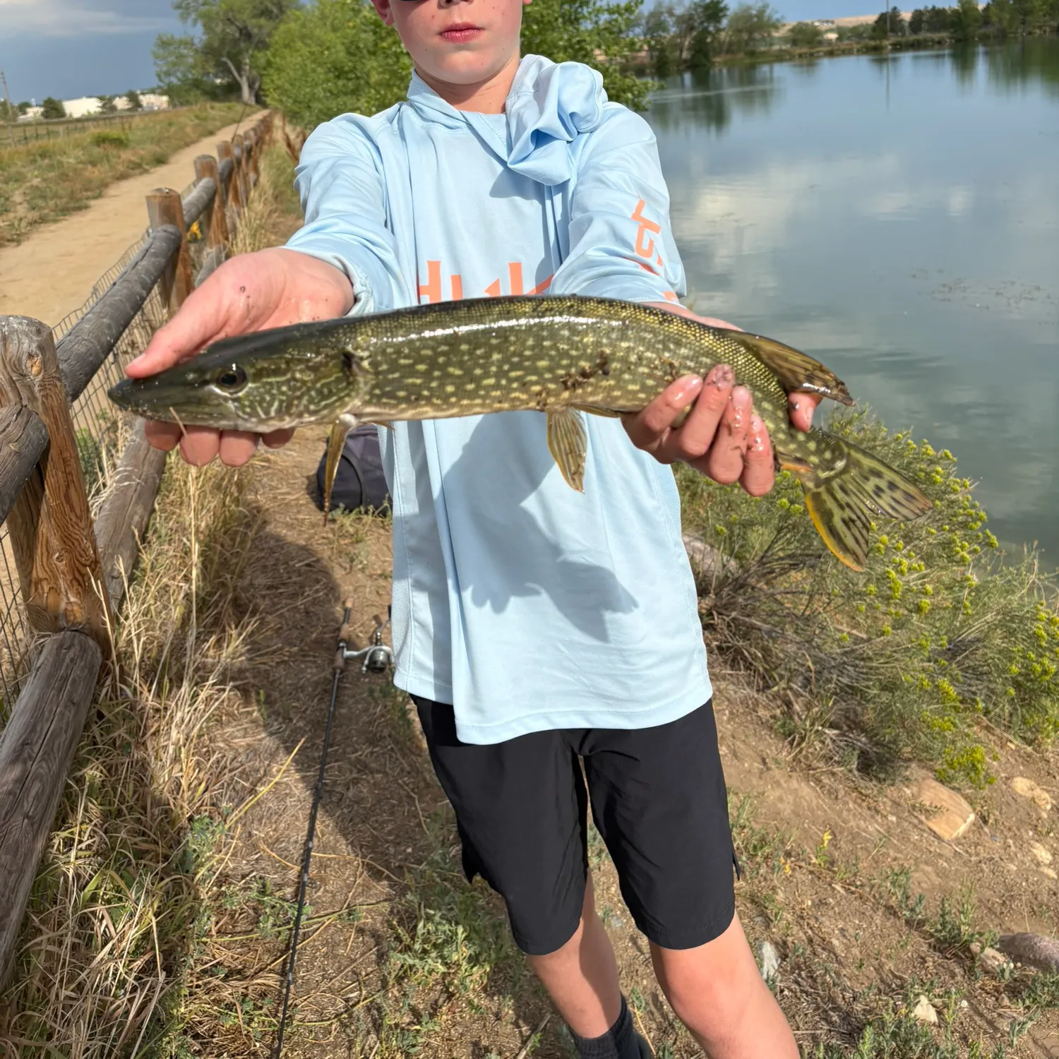 Northern pike caught on Fishbrain