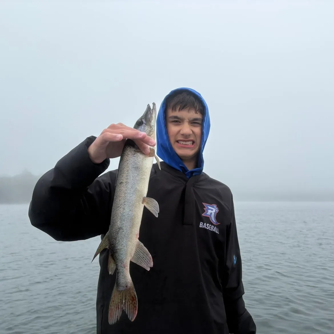 The most recent Silver pike catches on Fishbrain