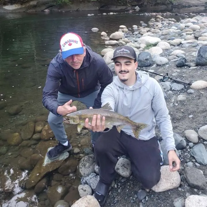 Pink salmon caught on Fishbrain