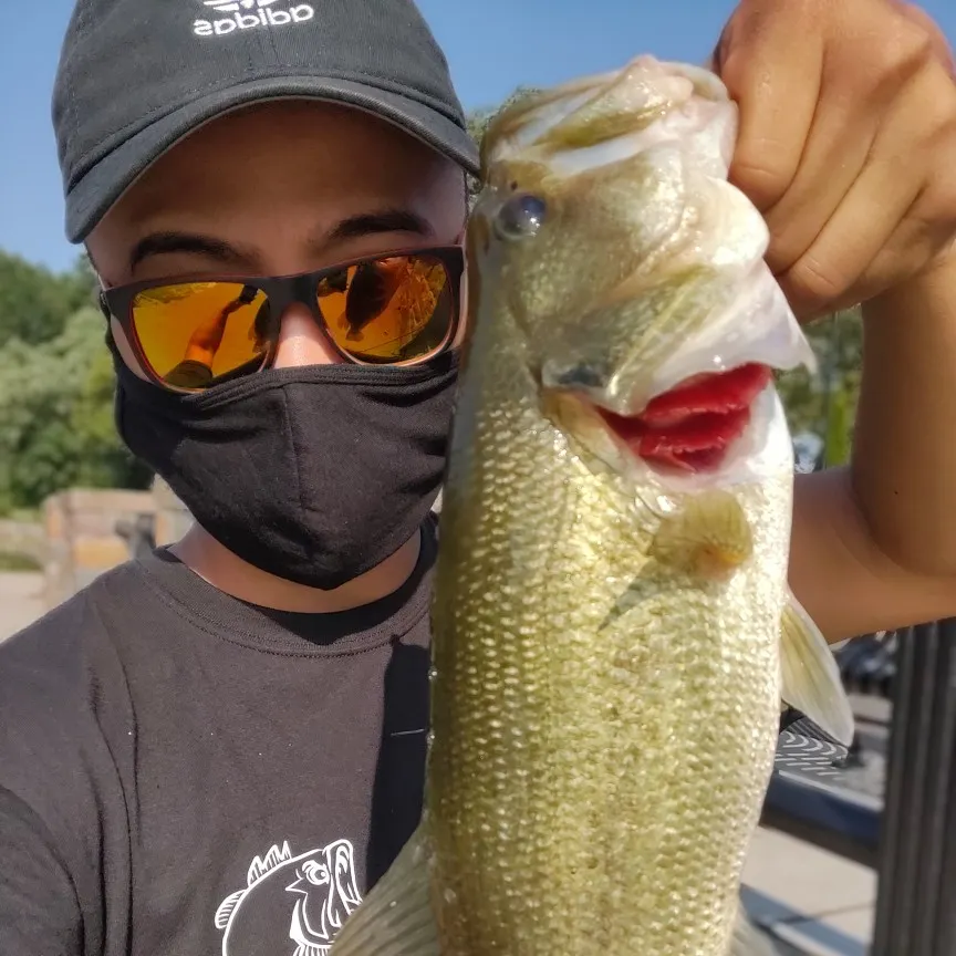 angler catch