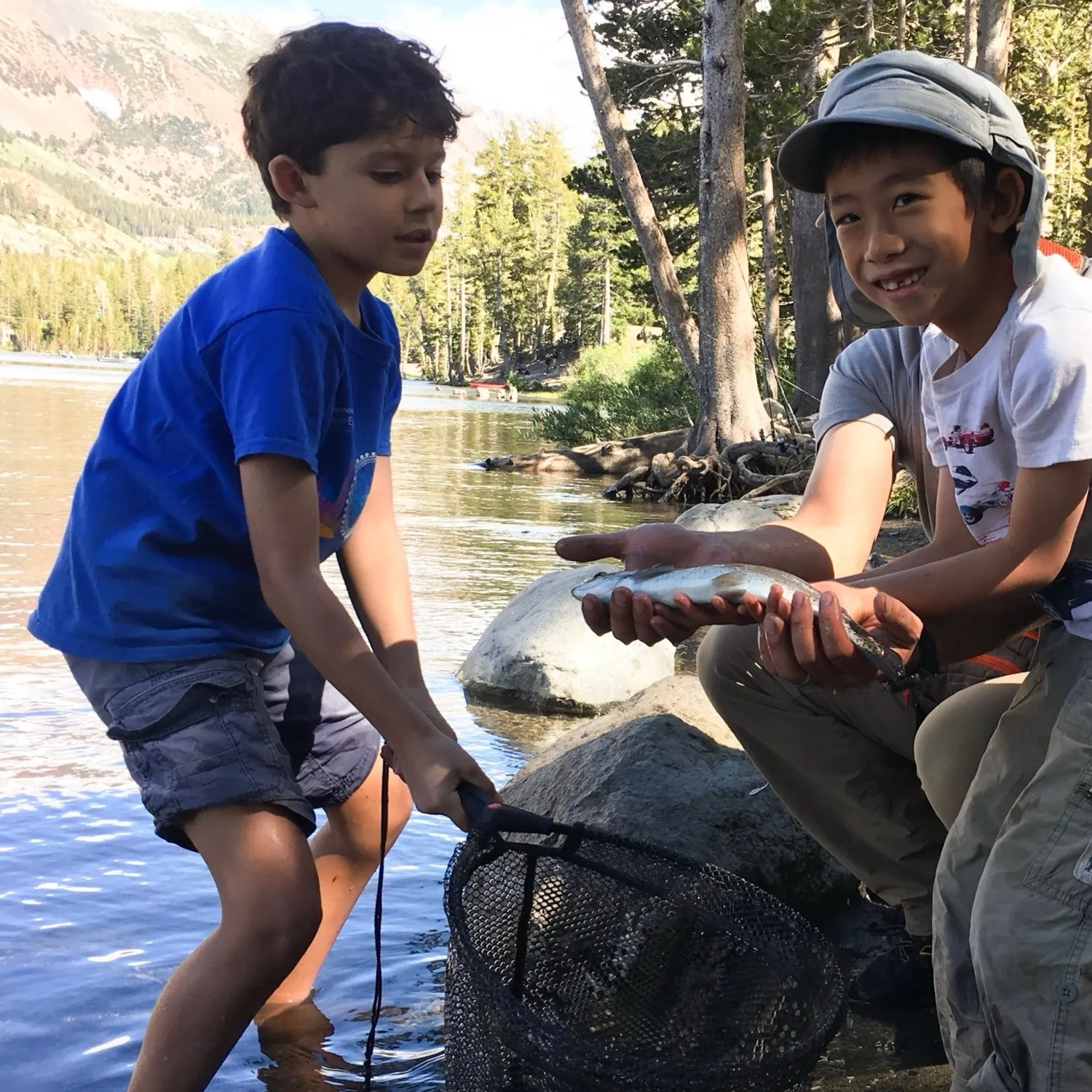Rainbow trout caught on Fishbrain