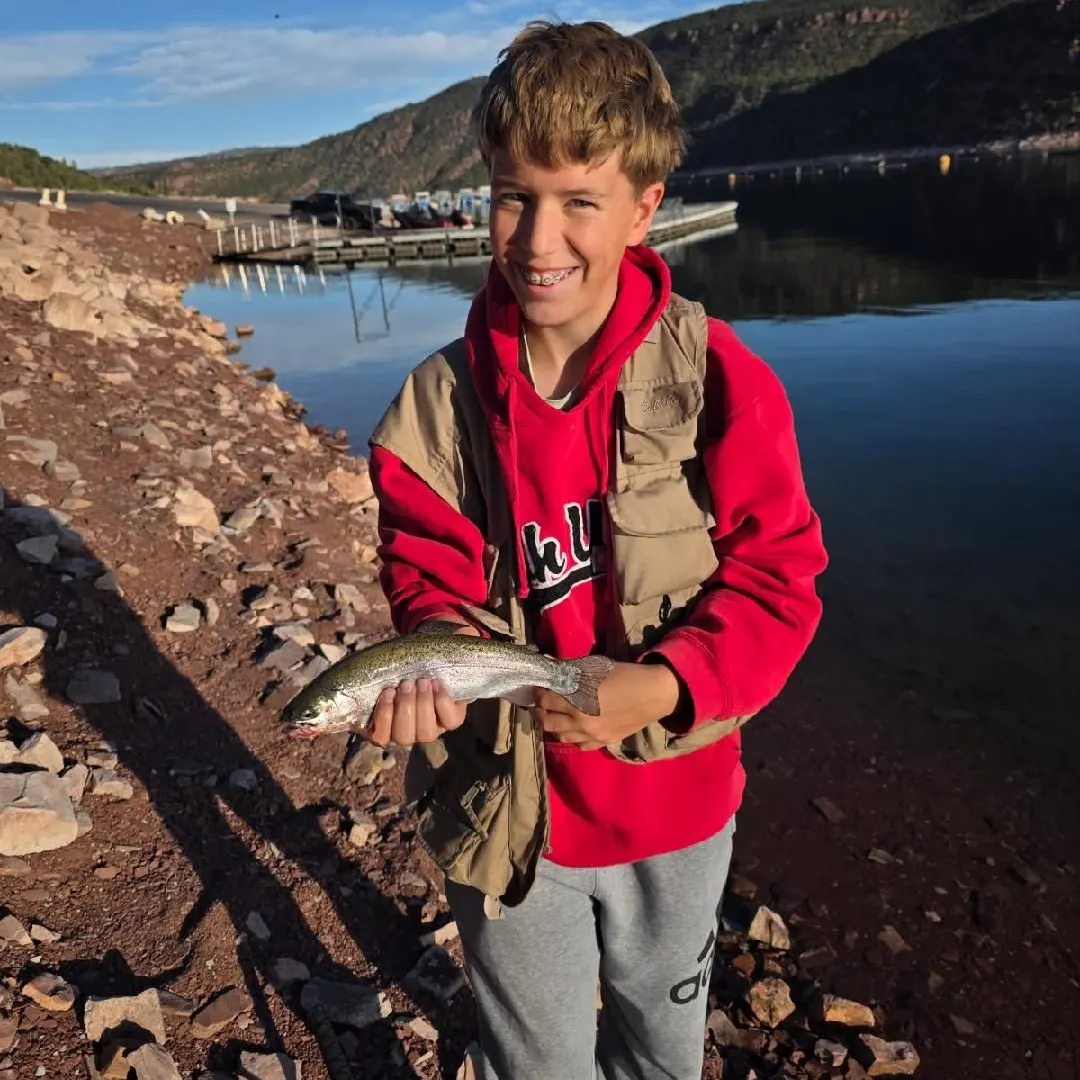Rainbow trout caught on Fishbrain