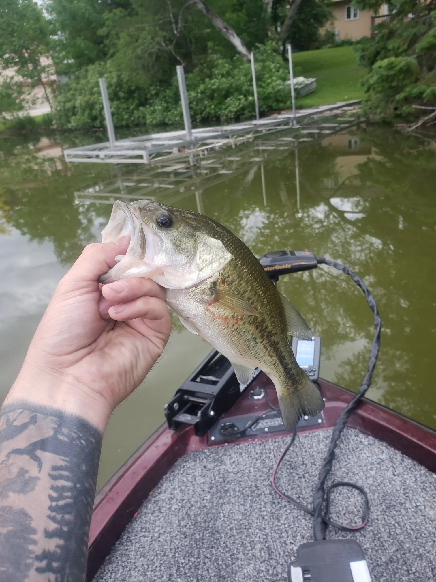 Post image from aholloway9360