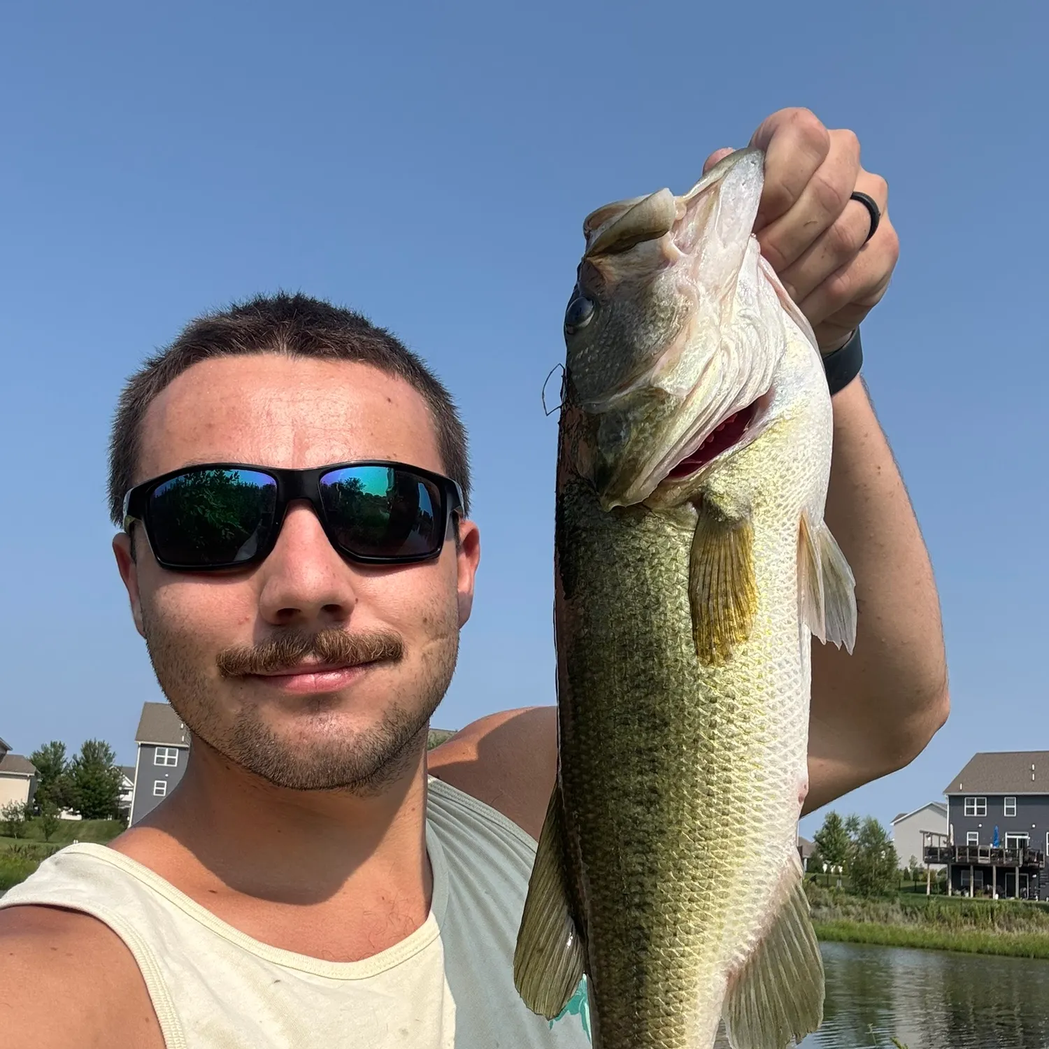 Largemouth bass caught on Fishbrain