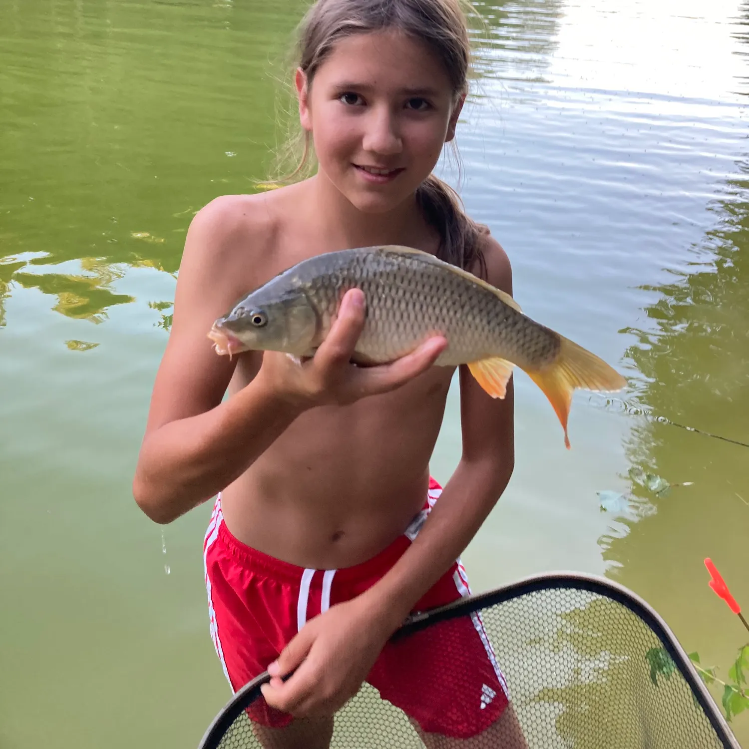 Common carp caught on Fishbrain