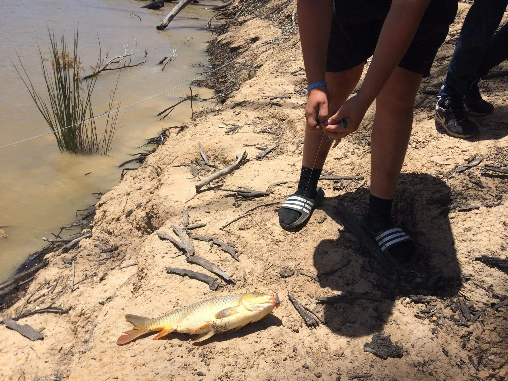 Post image from danadanalee