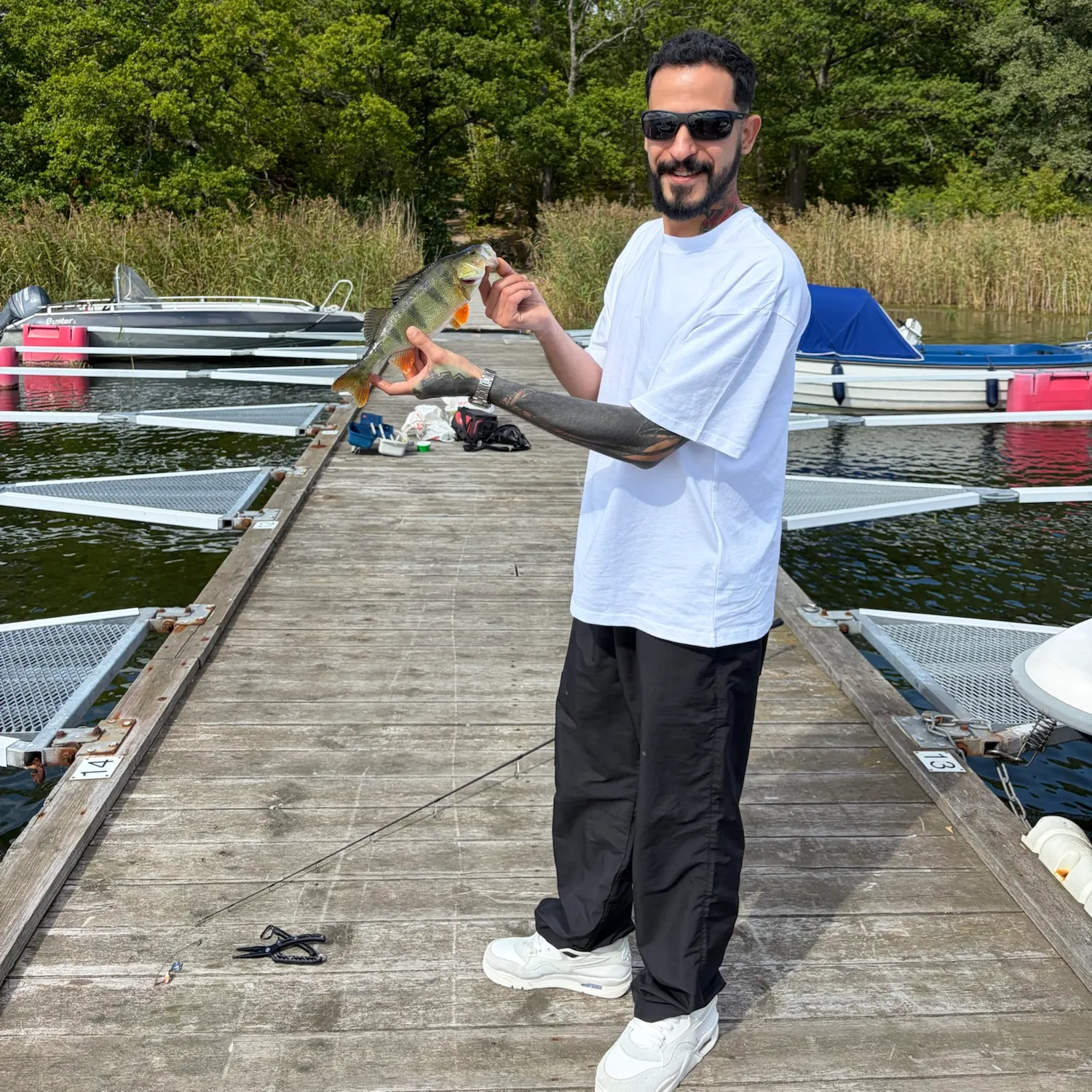 European perch caught on Fishbrain