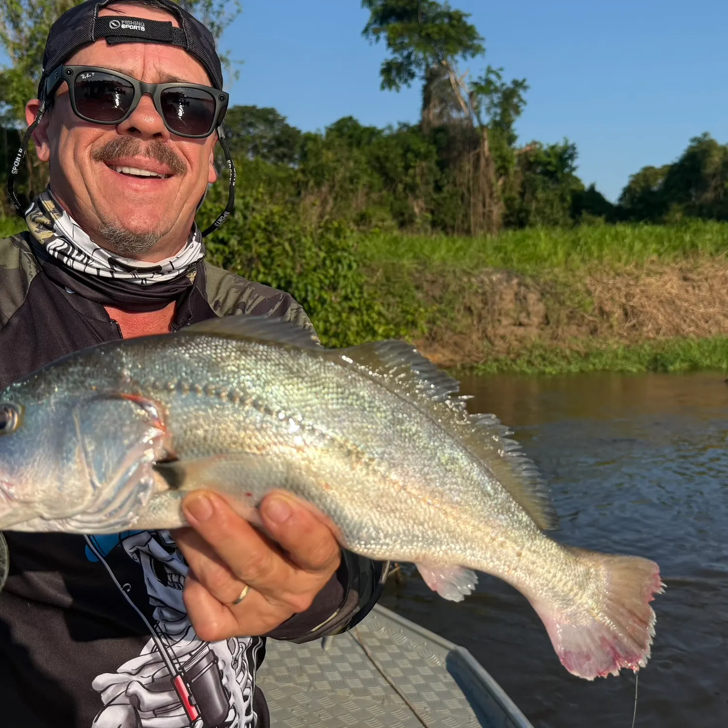 South American silver croaker caught on Fishbrain