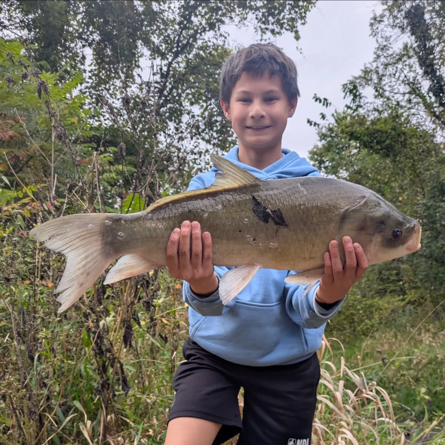 The most recent Bigmouth buffalo catches on Fishbrain