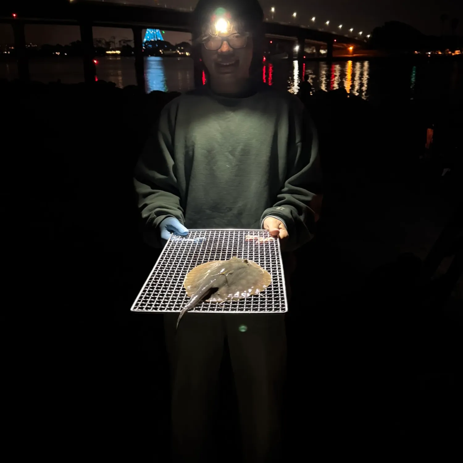 The most recent Common stingaree catches on Fishbrain