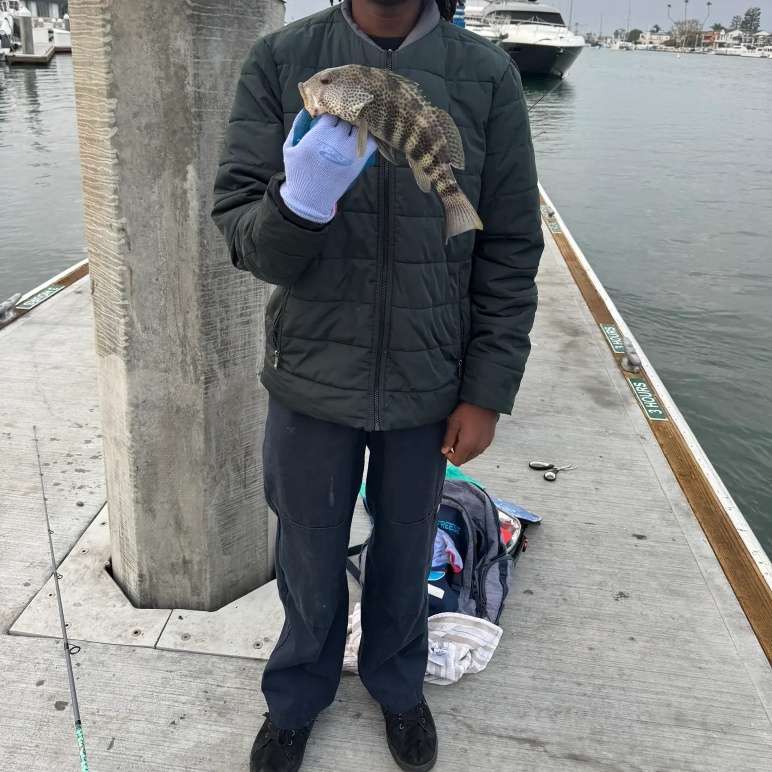 The most recent Spotted bass catches on Fishbrain