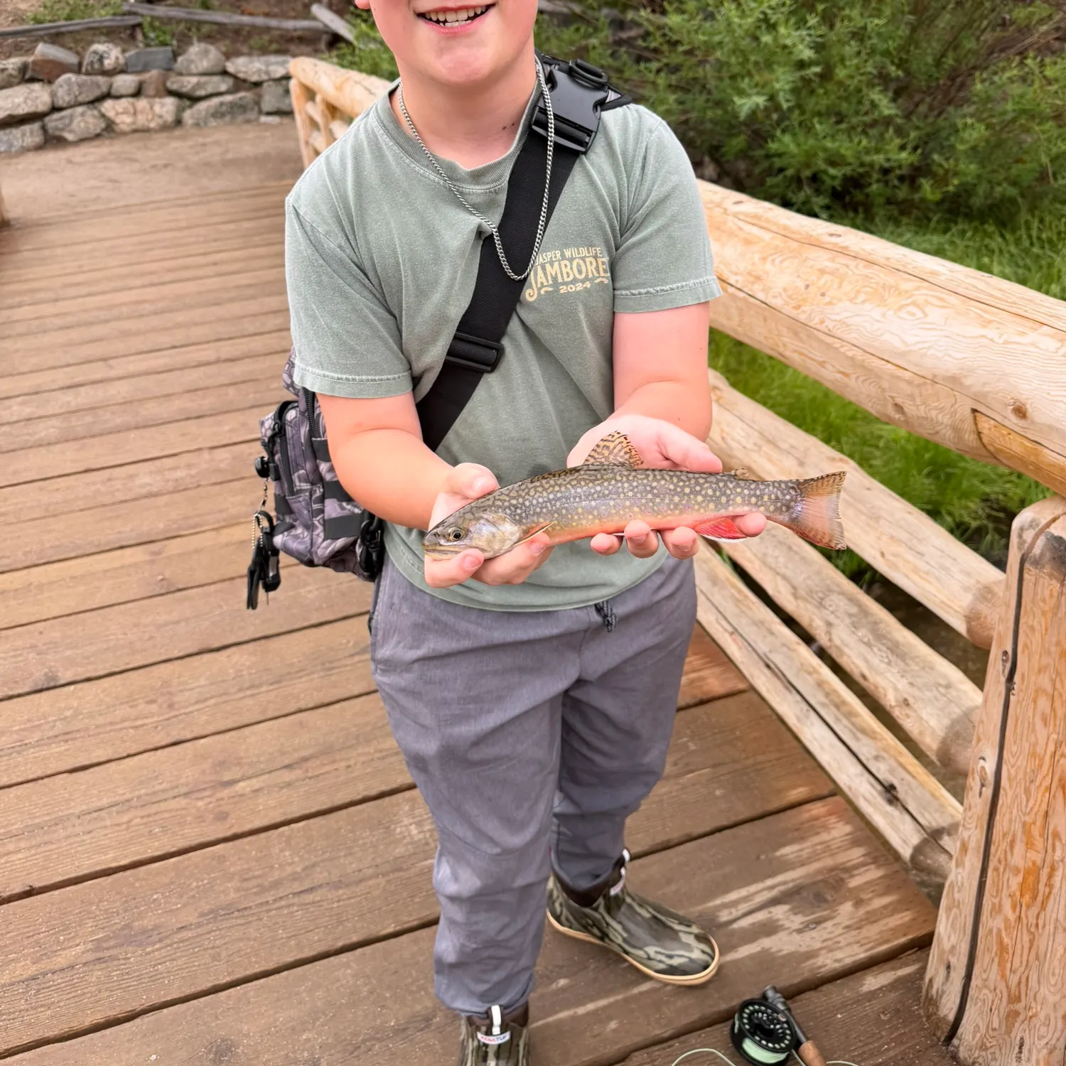 The most recent Brook trout catches on Fishbrain