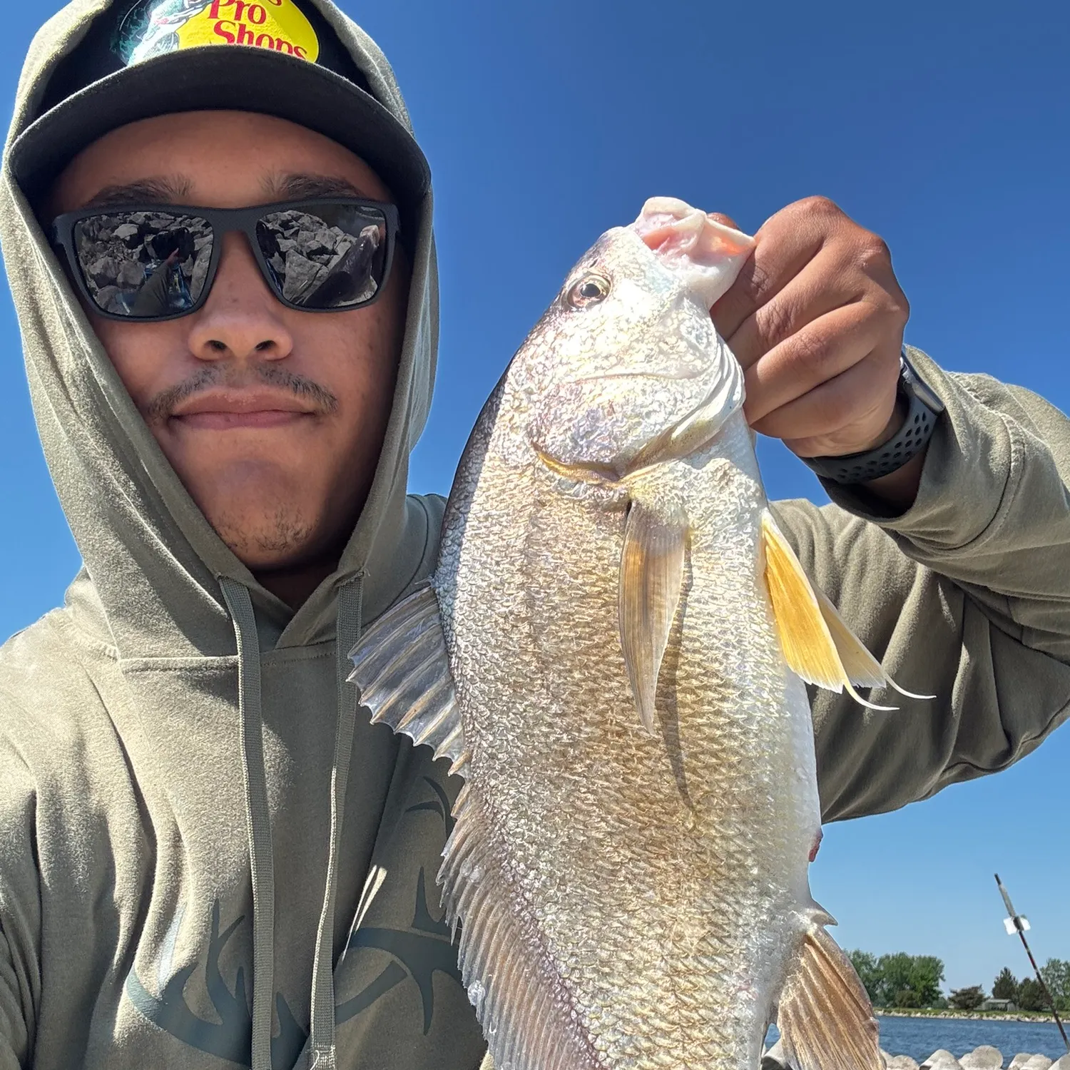 recently logged catches