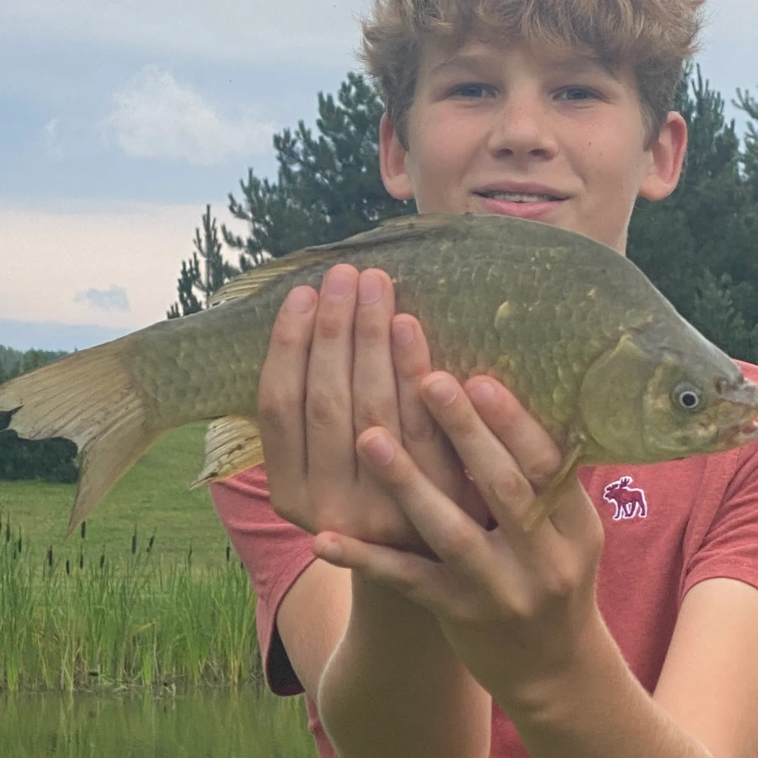 The most recent Crucian carp catches on Fishbrain