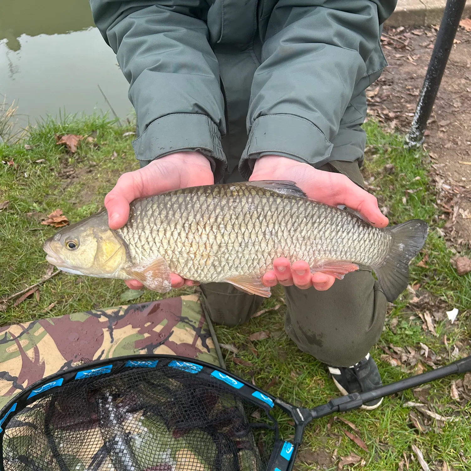 The most recent European chub catches on Fishbrain
