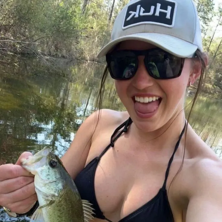 The most recent European perch catches on Fishbrain