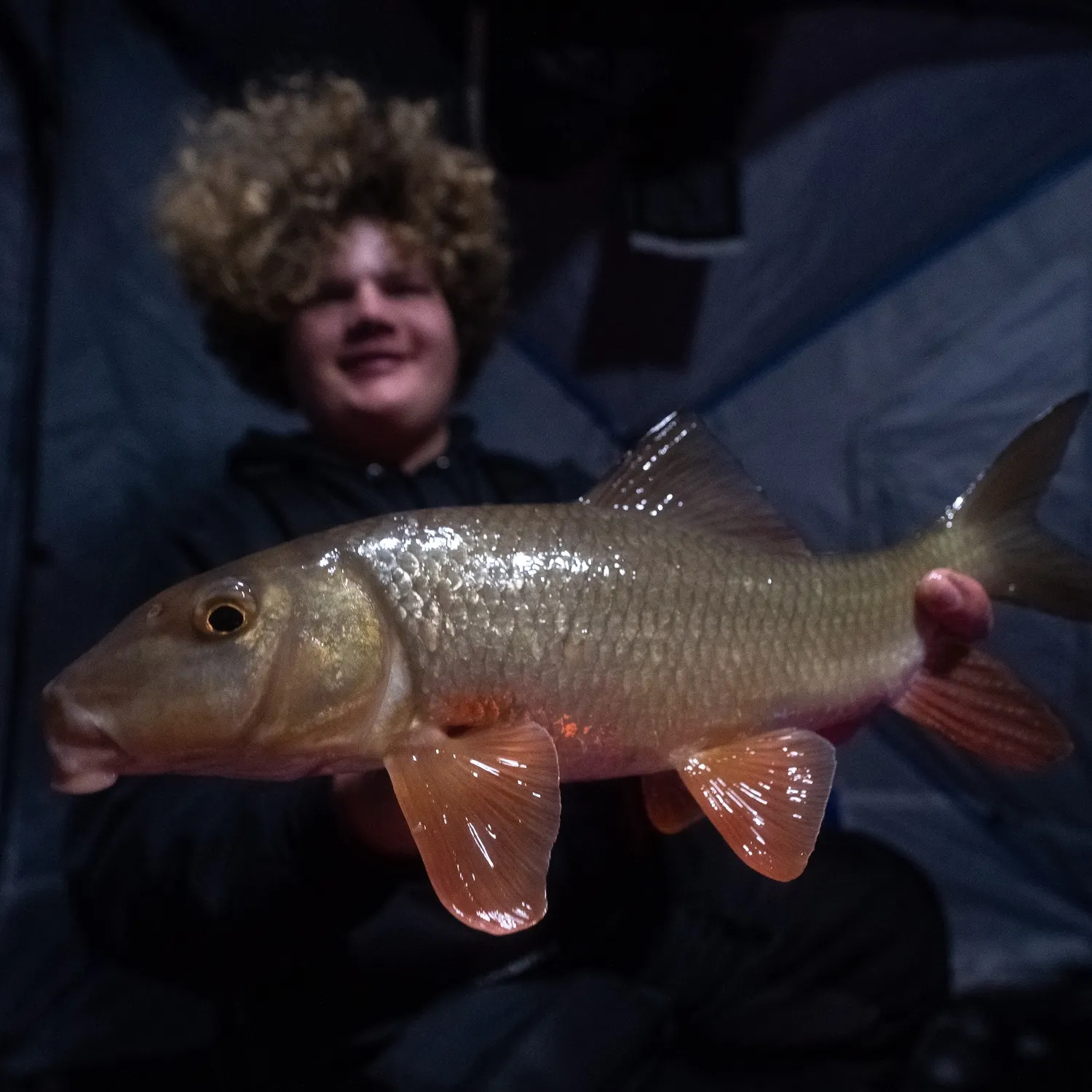 The most recent Silver redhorse catches on Fishbrain