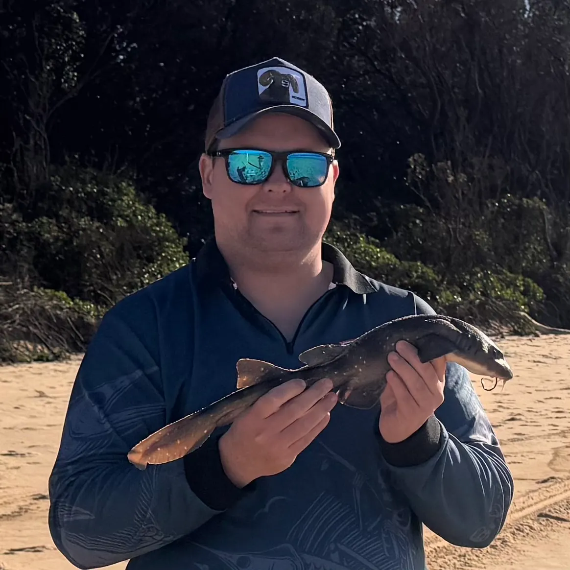 The most recent Blind shark catches on Fishbrain