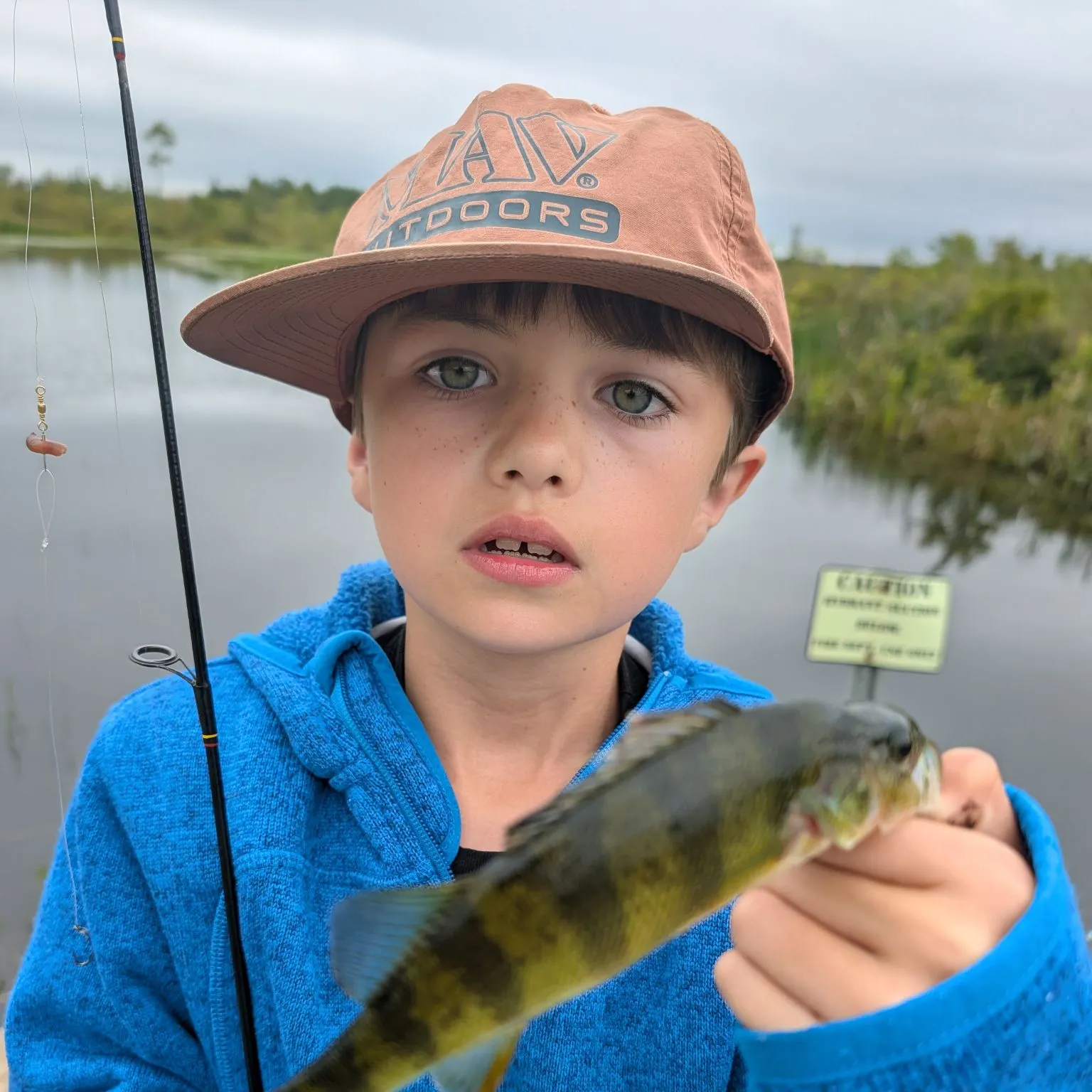 Yellow perch caught on Fishbrain