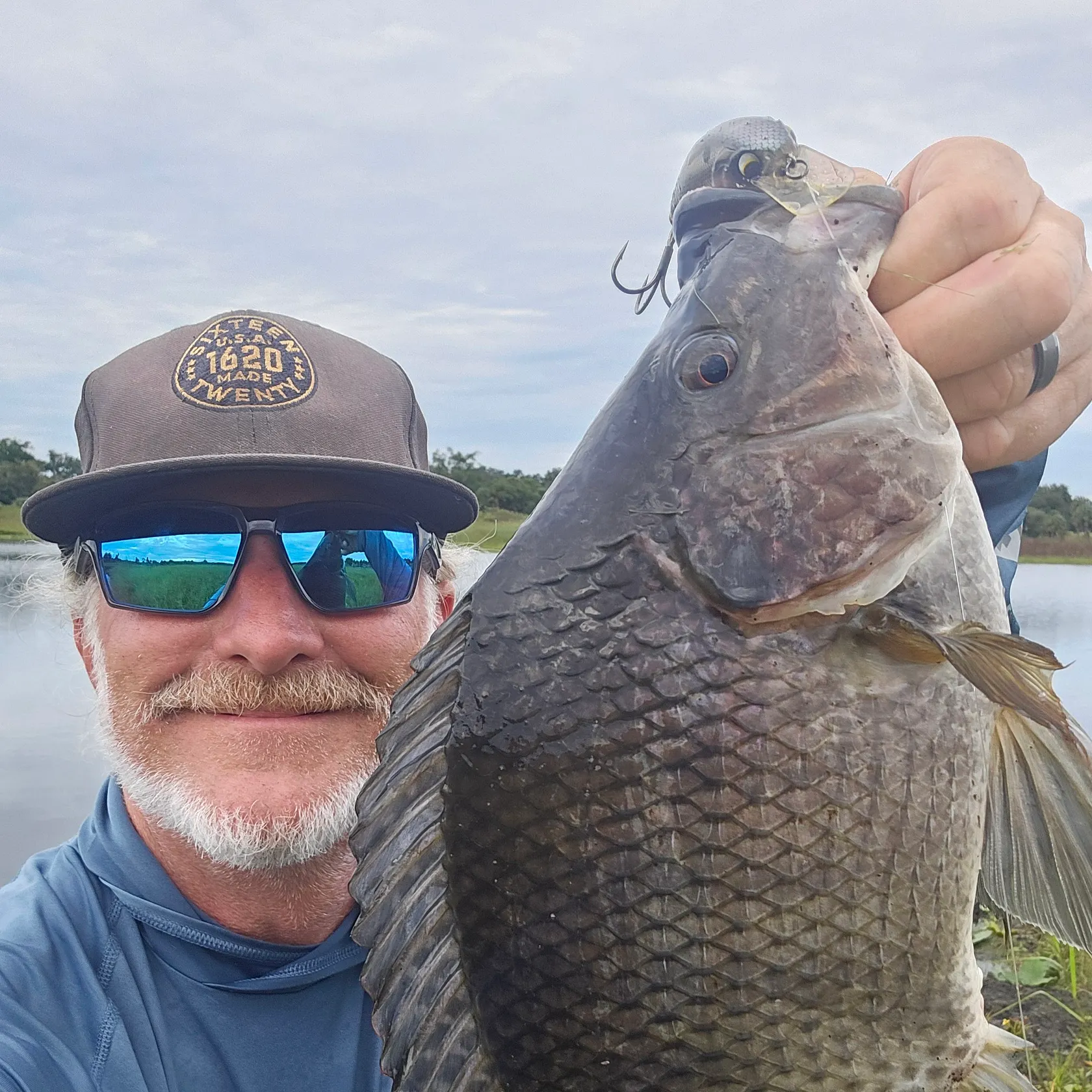 Blue tilapia caught on Fishbrain