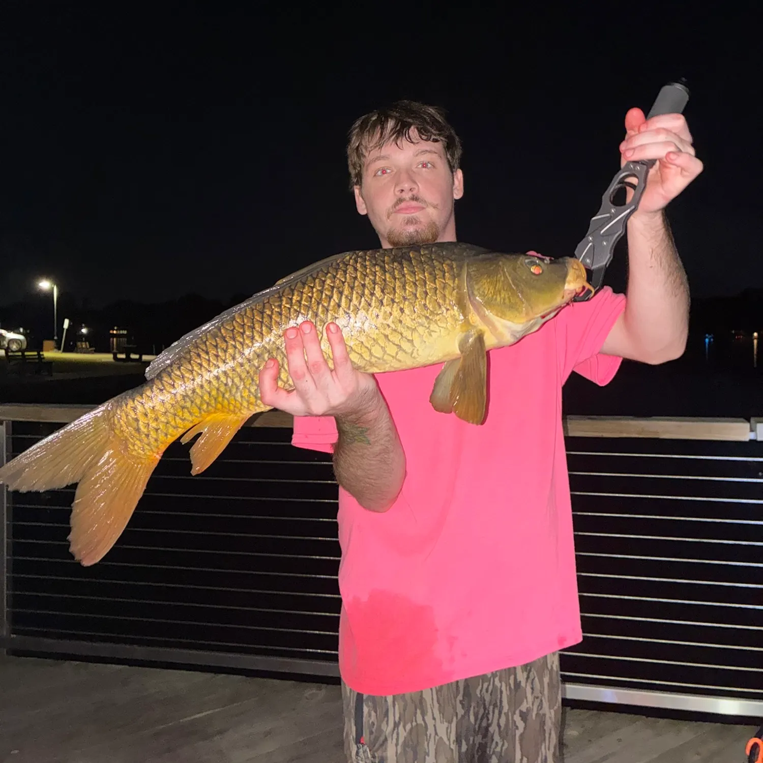 Common carp caught on Fishbrain