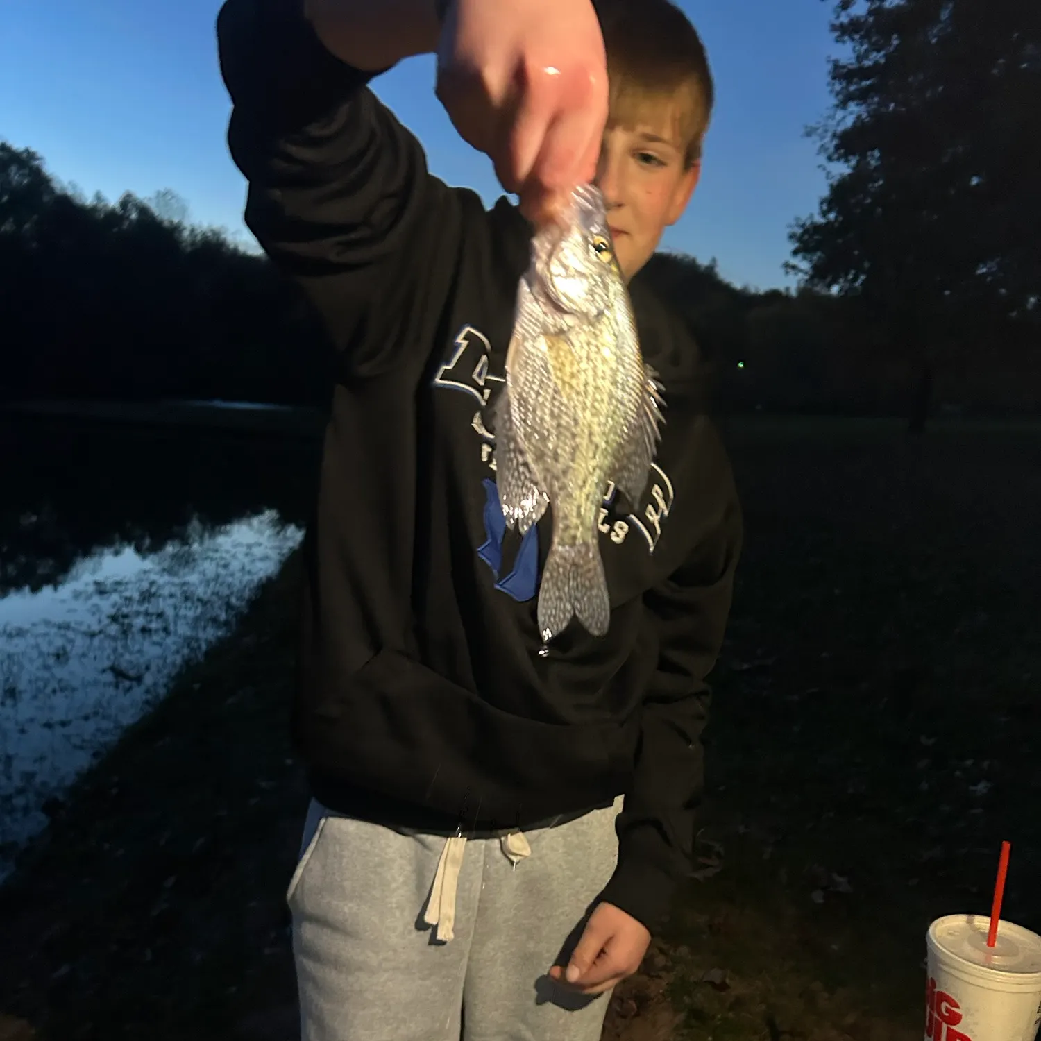 Black crappie caught on Fishbrain