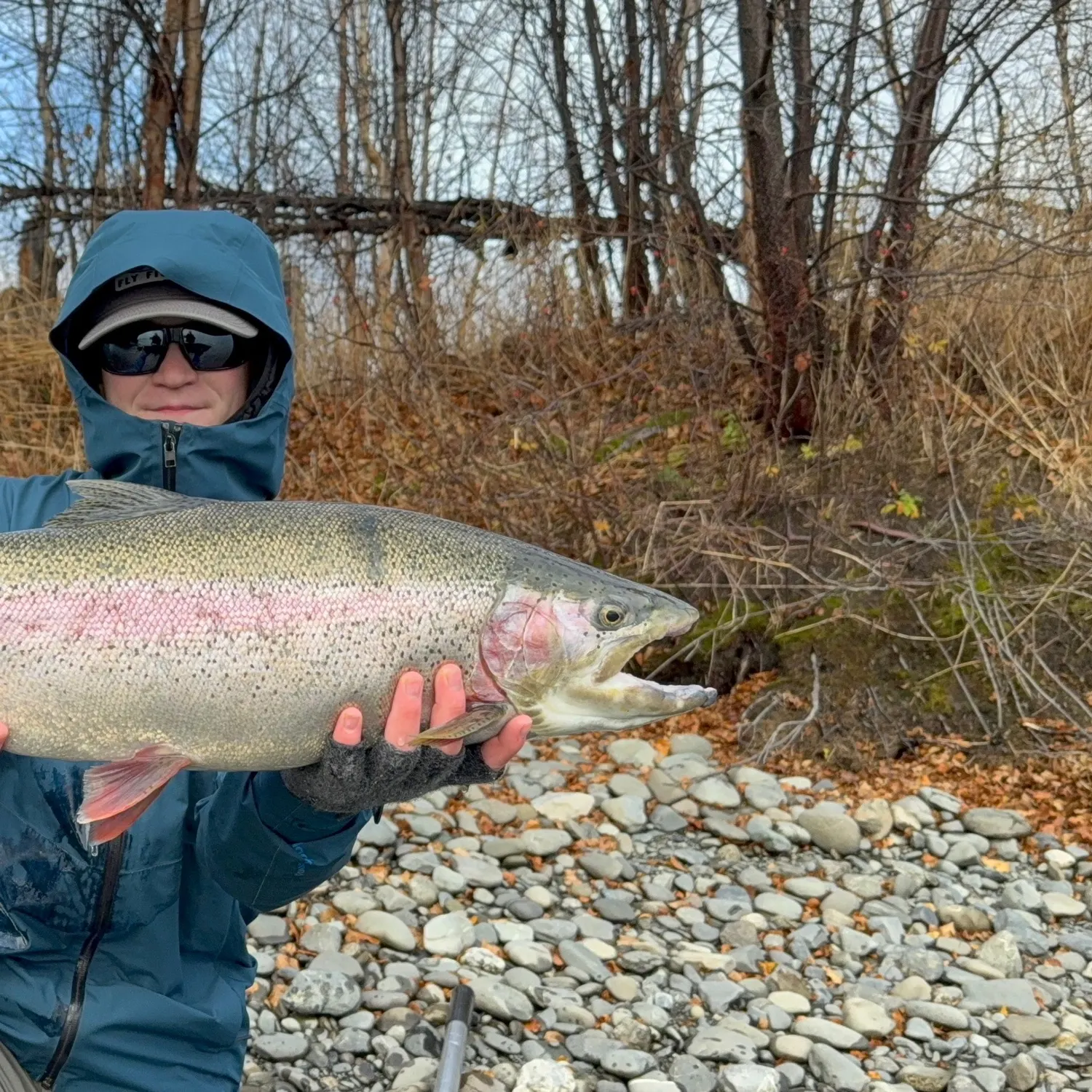 Rainbow trout caught on Fishbrain