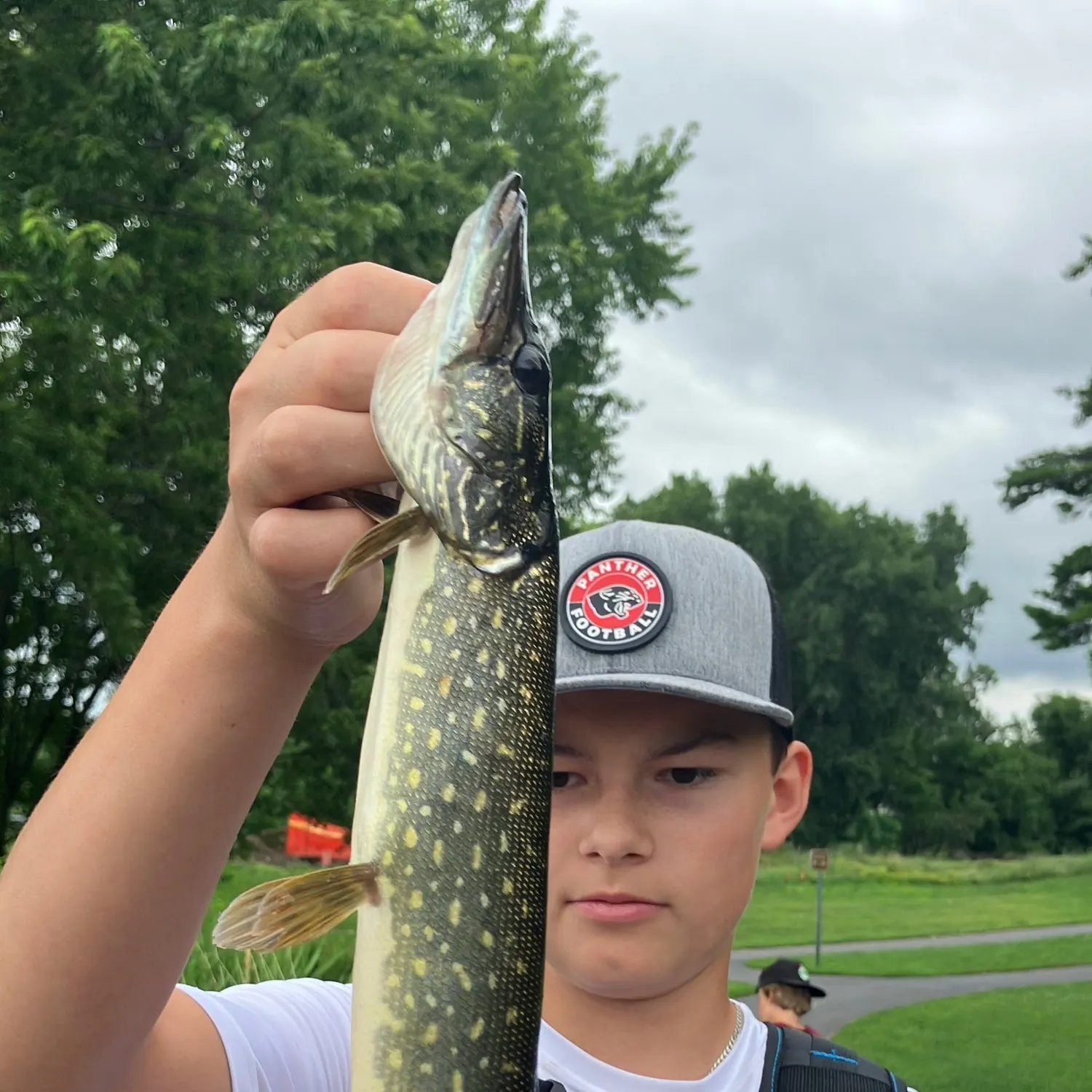 The most recent Northern pike catches on Fishbrain