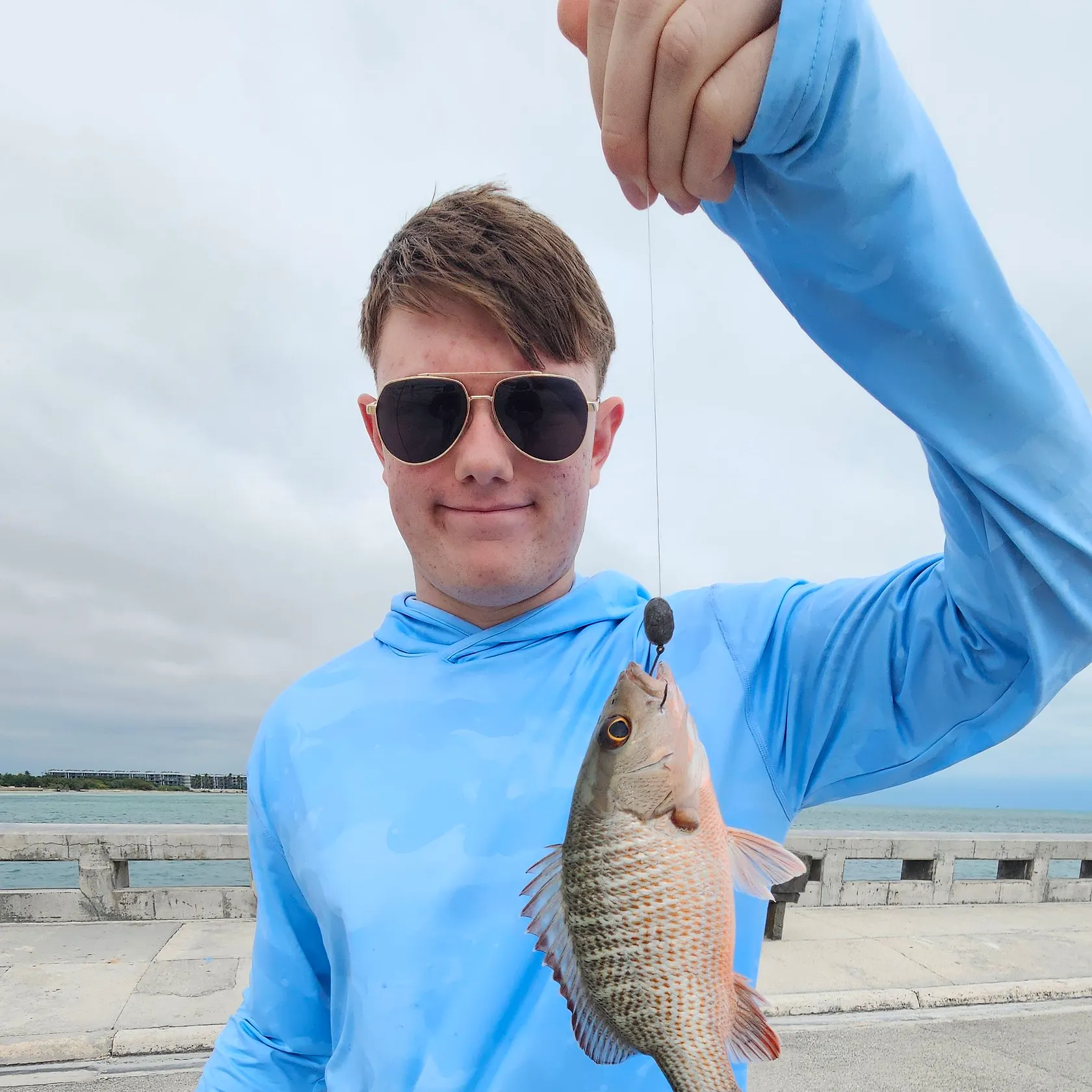 The most recent Mangrove snapper catches on Fishbrain