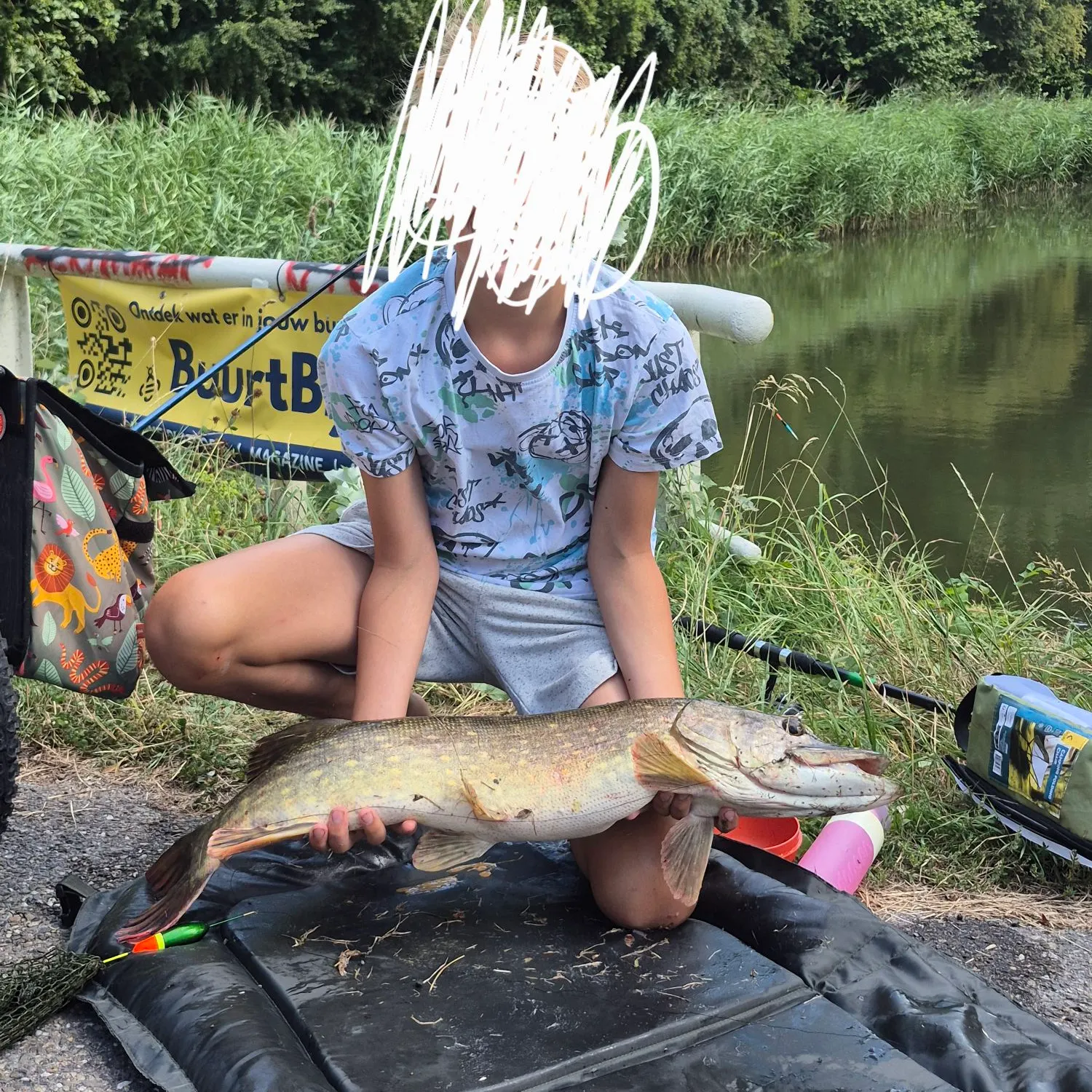 Northern pike caught on Fishbrain