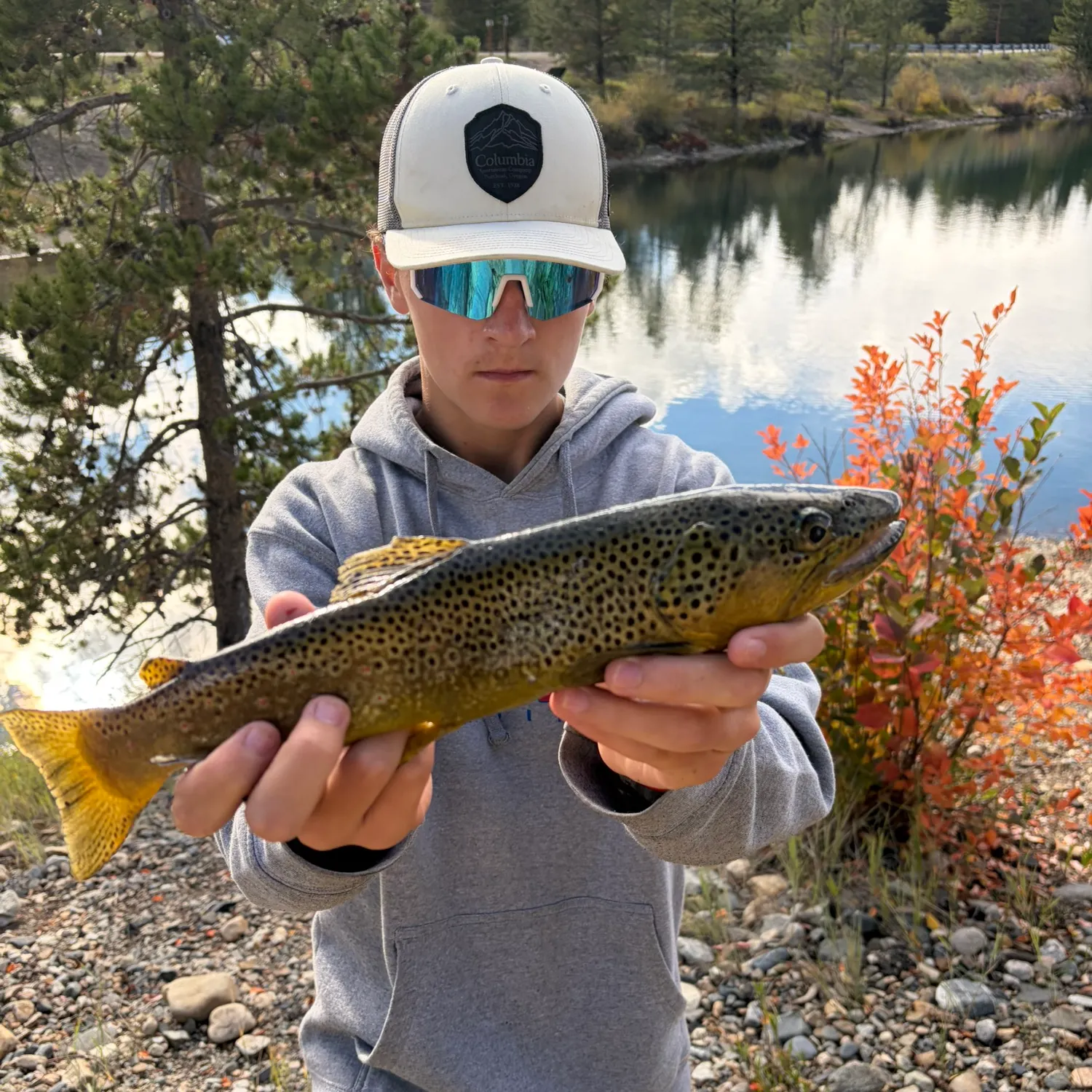 Brown trout caught on Fishbrain
