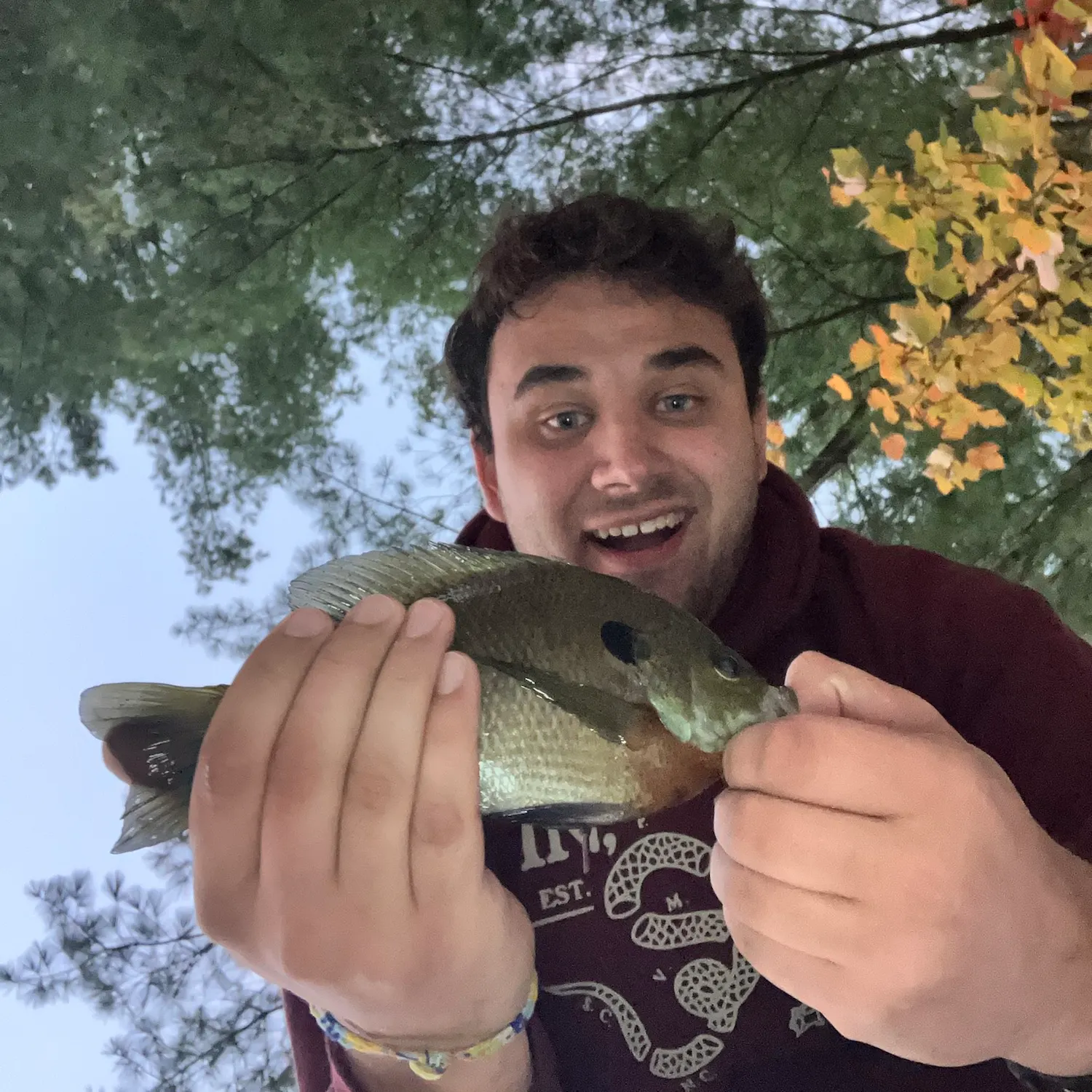 Bluegill caught on Fishbrain