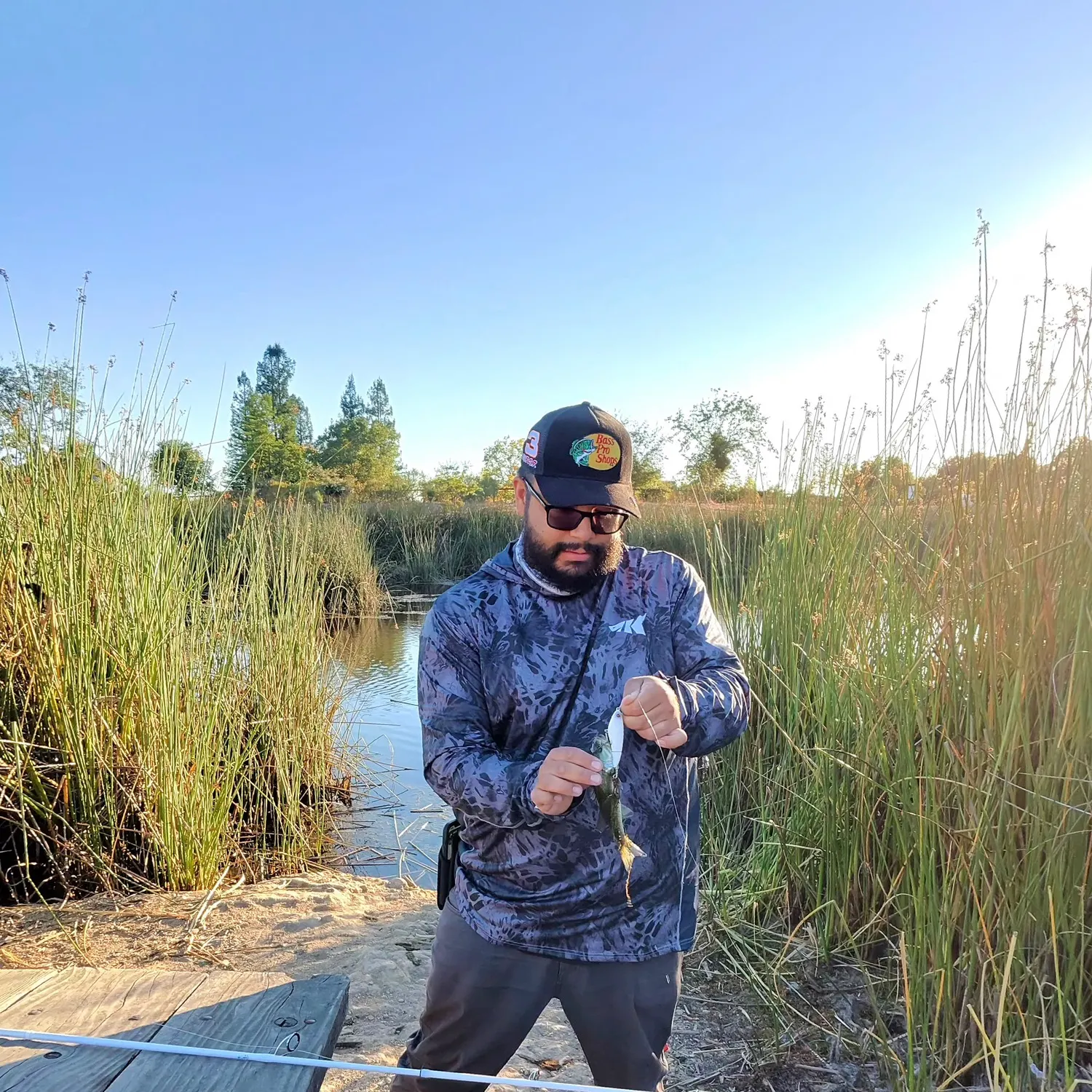 Spotted bass caught on Fishbrain