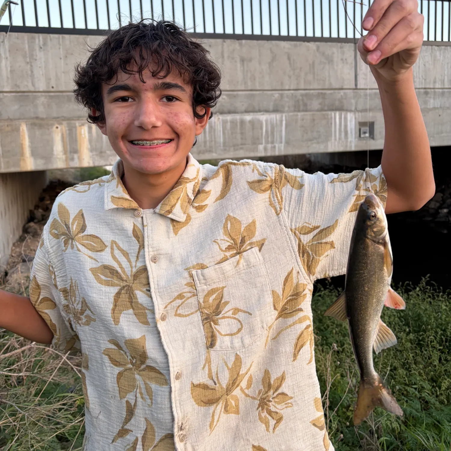 The most recent Northern pikeminnow catches on Fishbrain