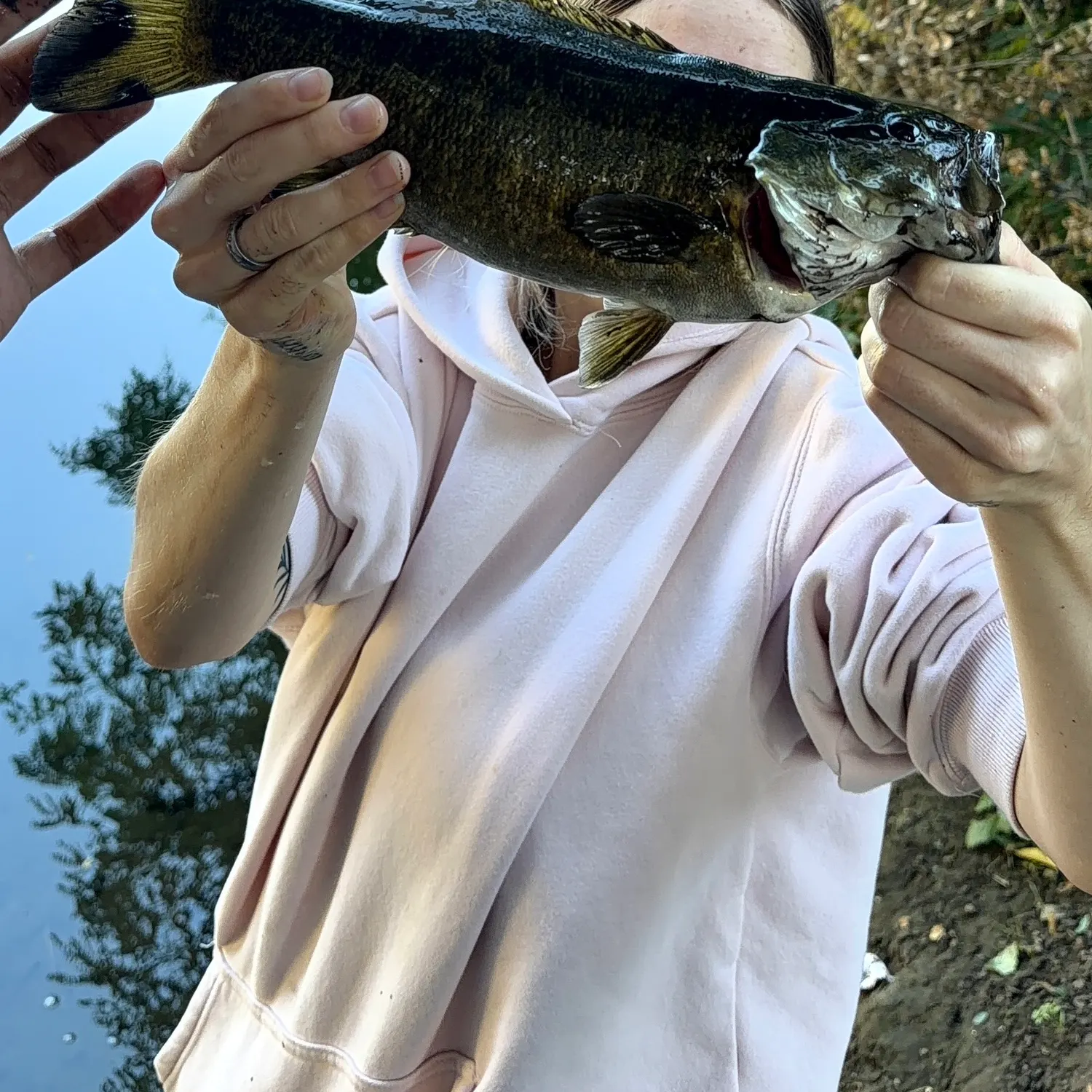 Smallmouth bass caught on Fishbrain