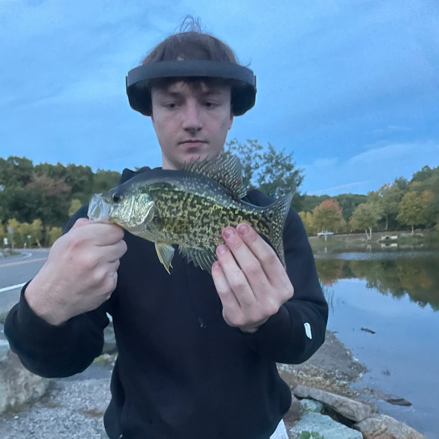 Black crappie caught on Fishbrain