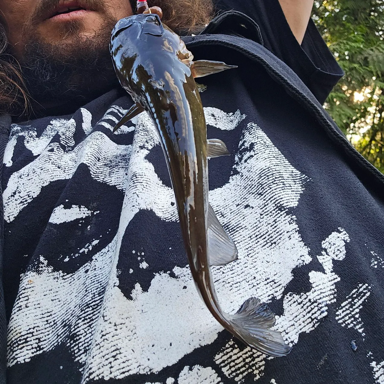 The most recent Pacific barracuda catches on Fishbrain