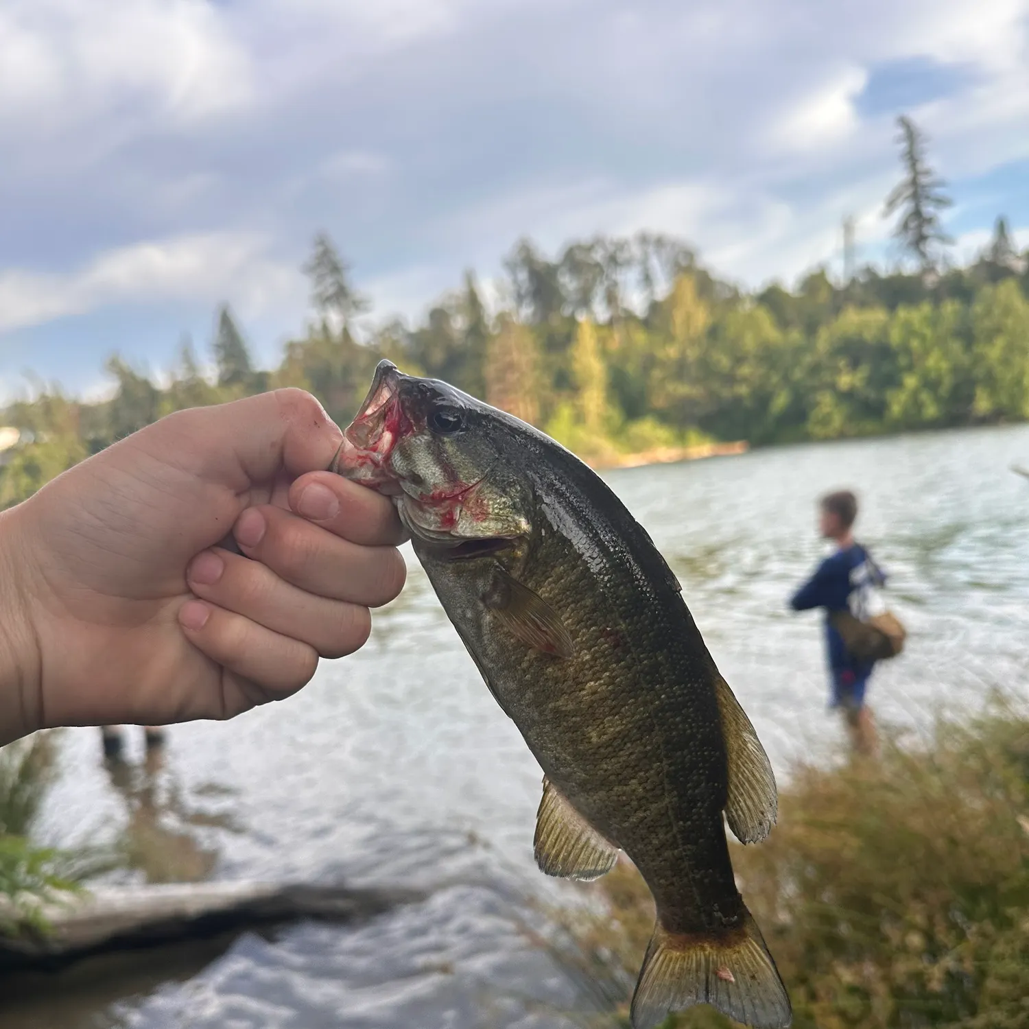 catch