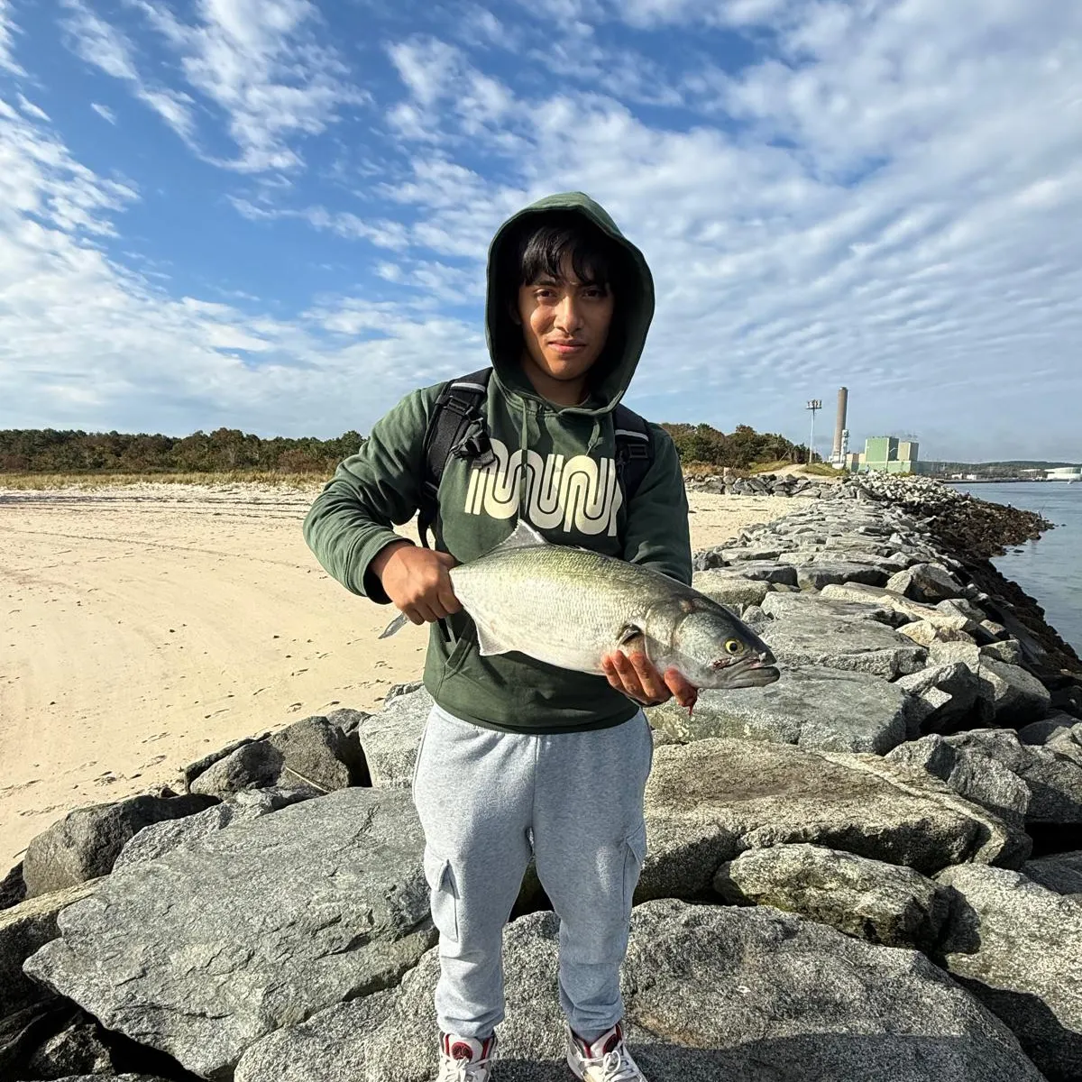 Bluefish caught on Fishbrain