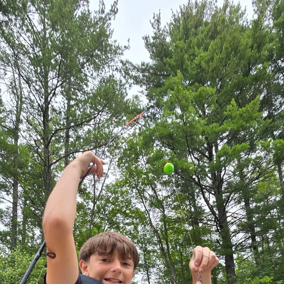 Yellow perch caught on Fishbrain