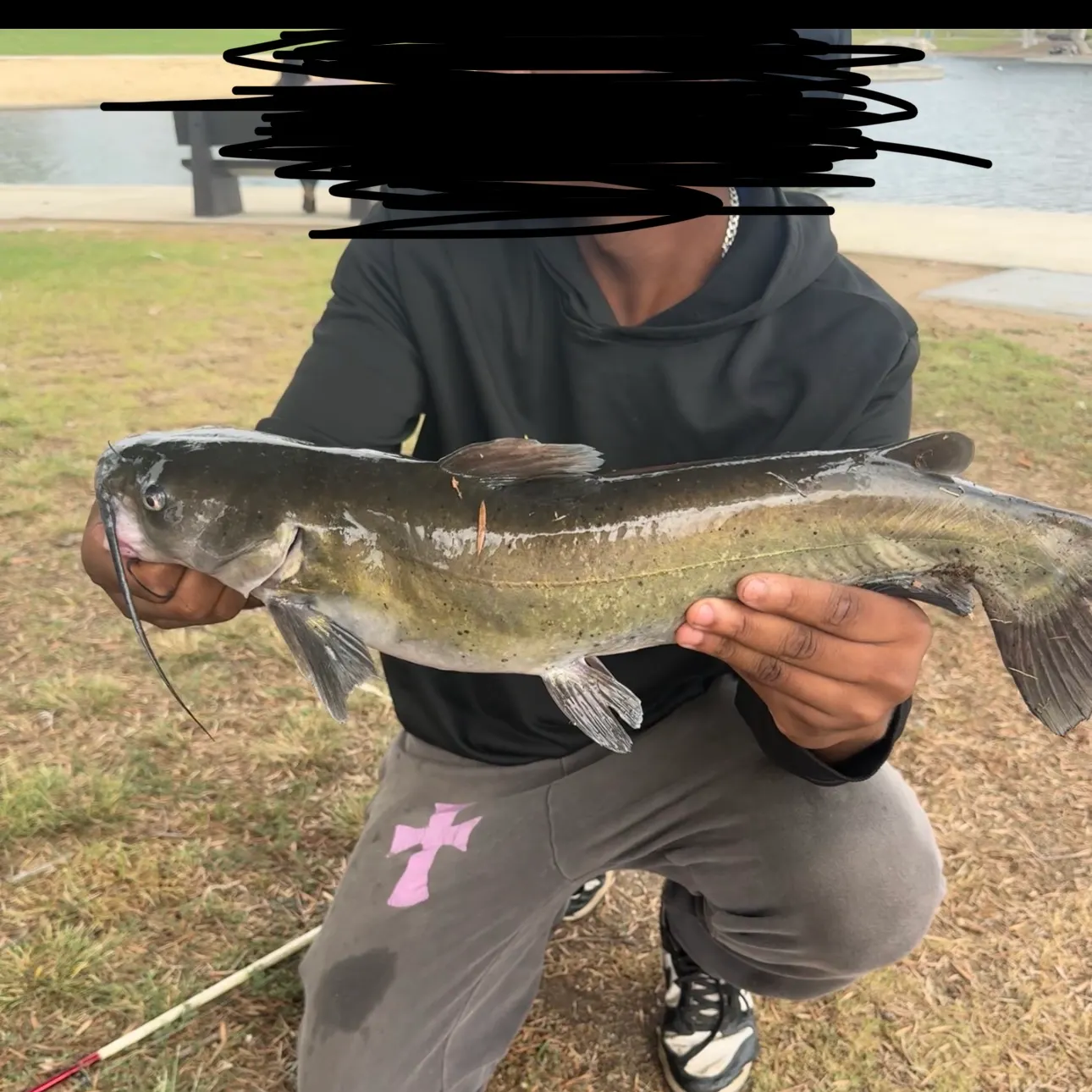 Channel catfish caught on Fishbrain