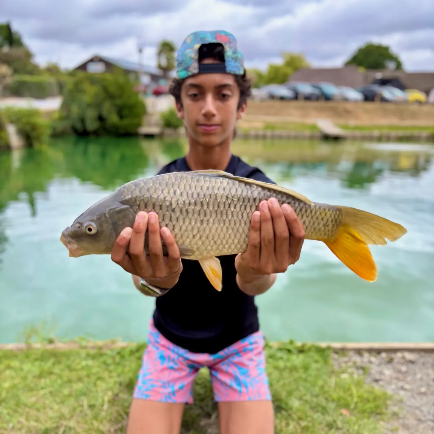 Common carp caught on Fishbrain