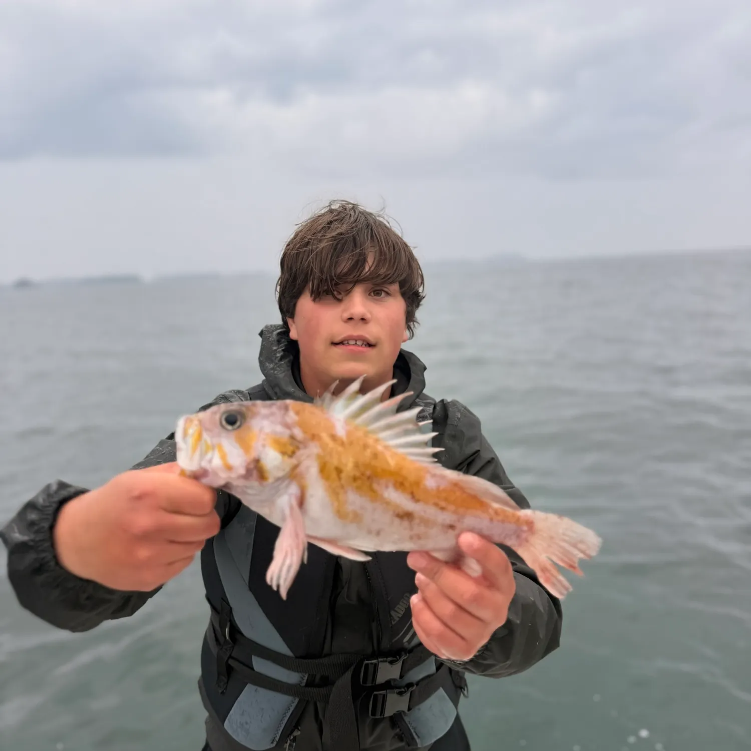The most recent Canary rockfish catches on Fishbrain