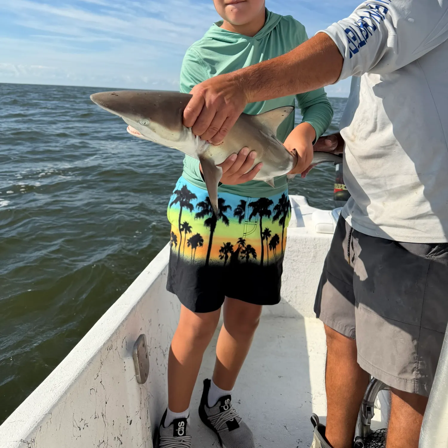 Spinner shark caught on Fishbrain