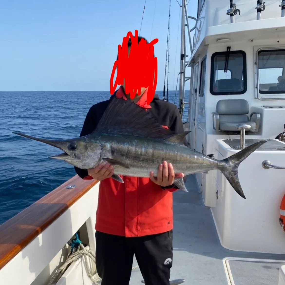 The most recent Black marlin catches on Fishbrain